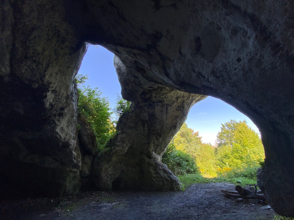 Looking out of a small limestone cave which has two nostril like openings out in the forest.