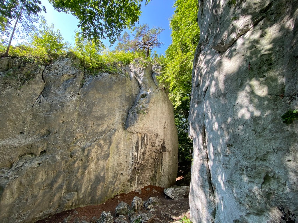 Short limestone canyon with crags on both sides set within the forest