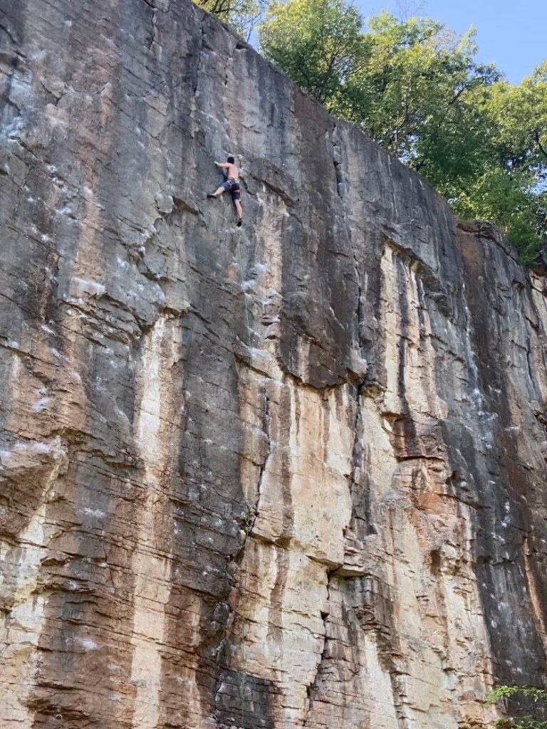 Climber on 40 metre tall vertical limestone cliff which has white and dark sections of rock. There are trees at the top of the cliff. 