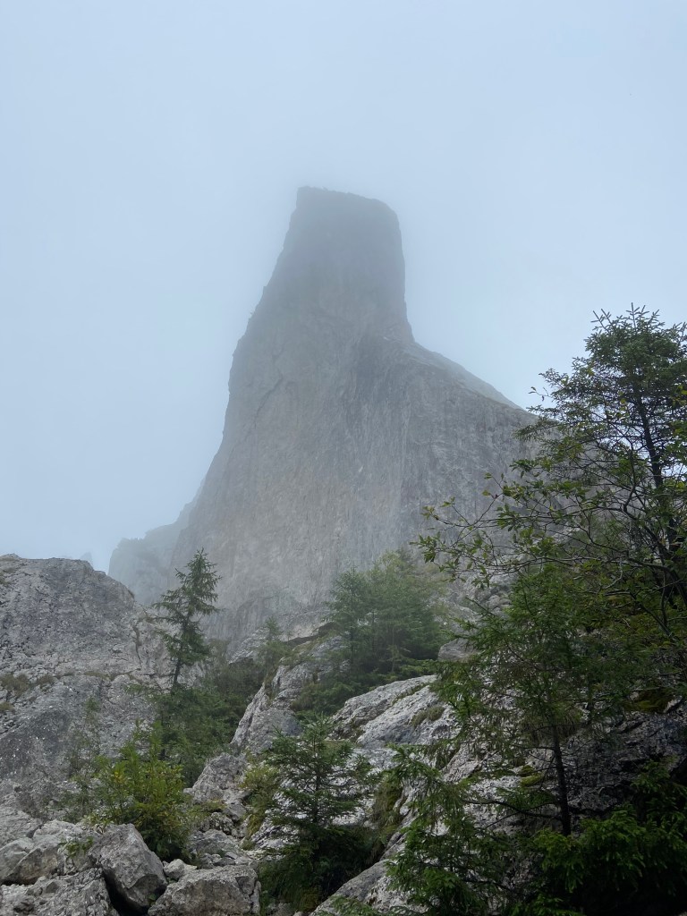A tall and wide limestone pinnacle encompassed by mist with a handful of pine trees and boulders at the base