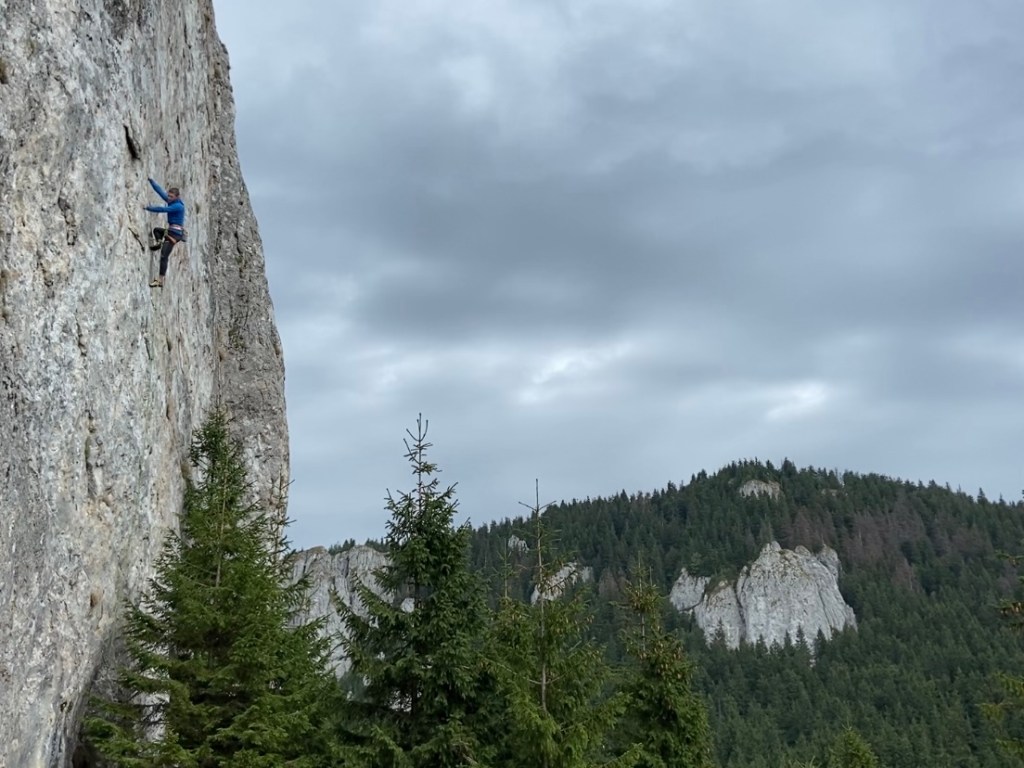 Climber looking down to find the next foot placement on a white limestone cliff which immerges from a dense pine forest. In the distance there are other limestone crags rising from the forest. 