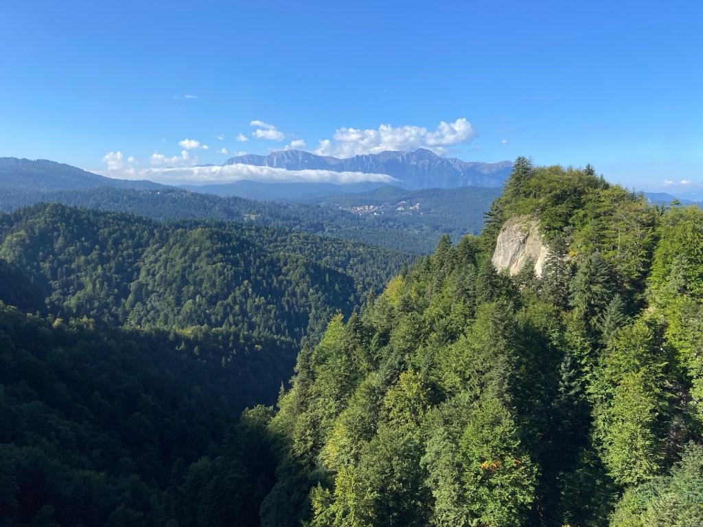 Looking over the top of the dense pine forest with a craggy mountain in the distance. There is blue sky with a lone cloud creating an inversion. 