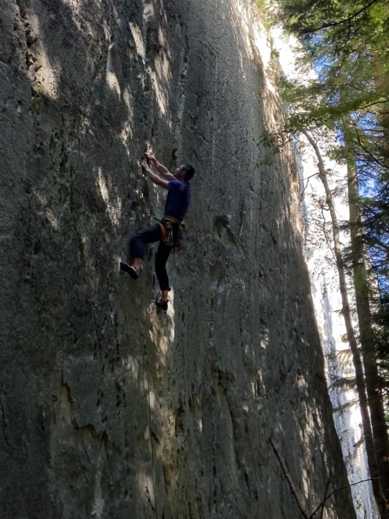 Climber looking up for the next hand move on a crack feature on a grey limestone wall set in the shade of a pine forest. 