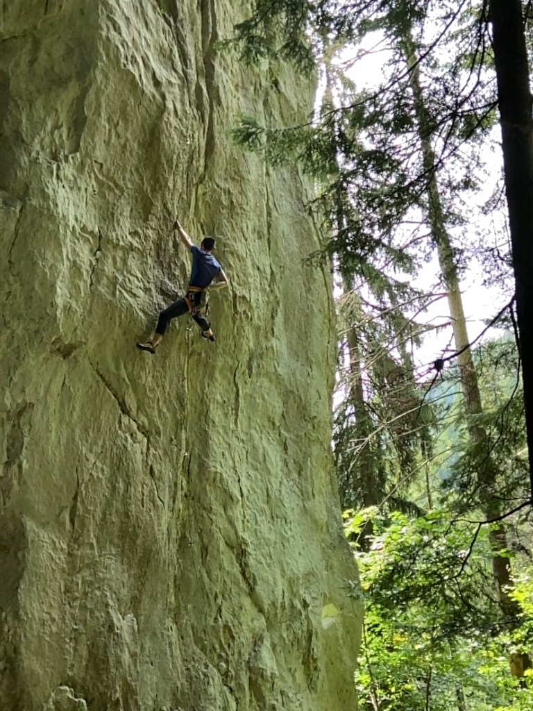 Climber resting and chalking up to make the next move on a white limestone wall set within a forest. 
