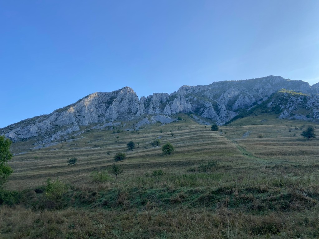 Collection of pinnacles and crags which forms a mastiff on top of a hill which has groves horizontally across like an old orchard 
