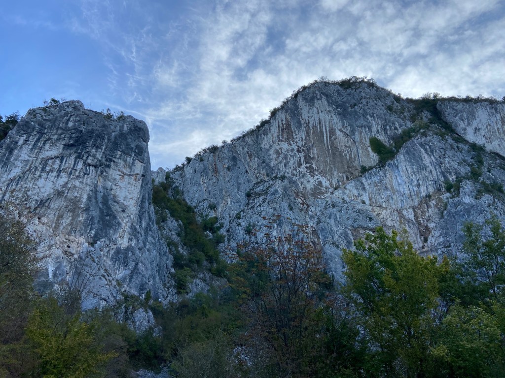 Limestone amphitheater split into two sections of rock divided by a tree lined gully down the middle. The right side of the cliff is more broken with diagonal cracks with some trees growing on the side of the cliff. 