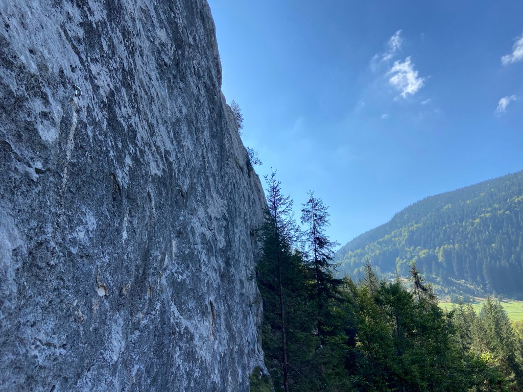 Smooth limestone wall which is slightly off vertical. The crag has pine trees at the base and overlooks a meadow and thickly forested hills on the other side of the meadow.