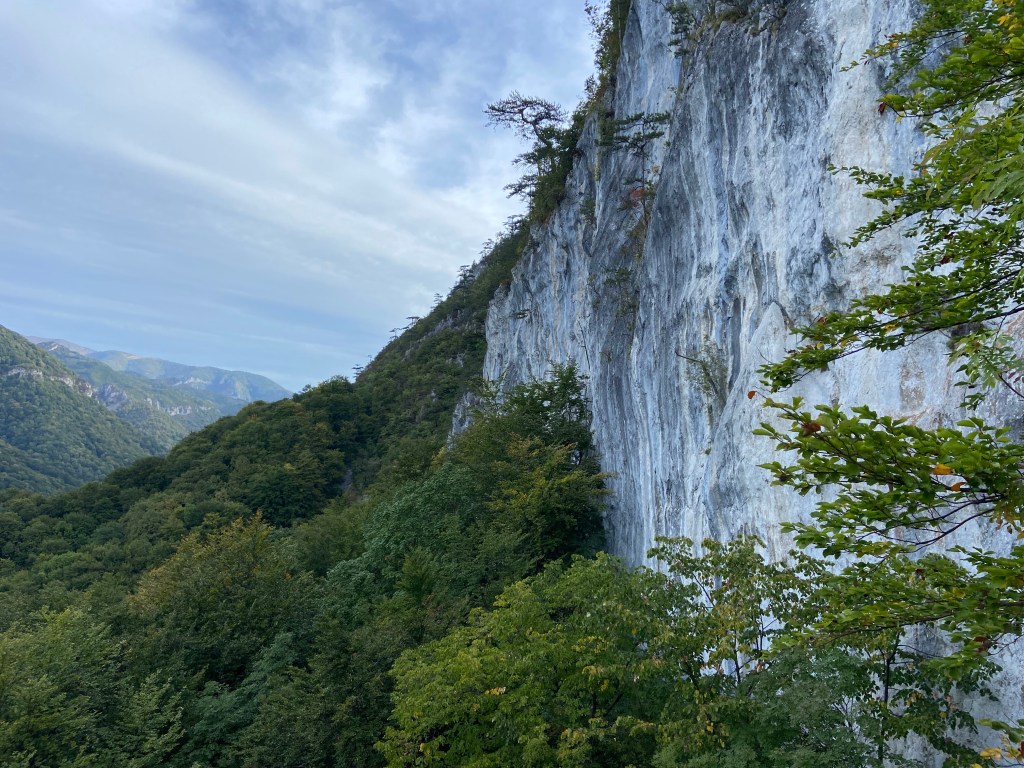 Compact white and blue/grey rock with the lush green forest below and more forested mountains in the background. 