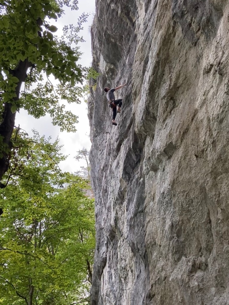 Climber looking up towards the next hand move on a vertical limestone wall which doesn't have many features, set within a deciduous forest. 