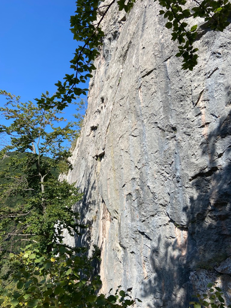 Grey limestone wall which features flakes of rock on the surface and diagonal and horizontal cracks scattered across the face of the rock. 
