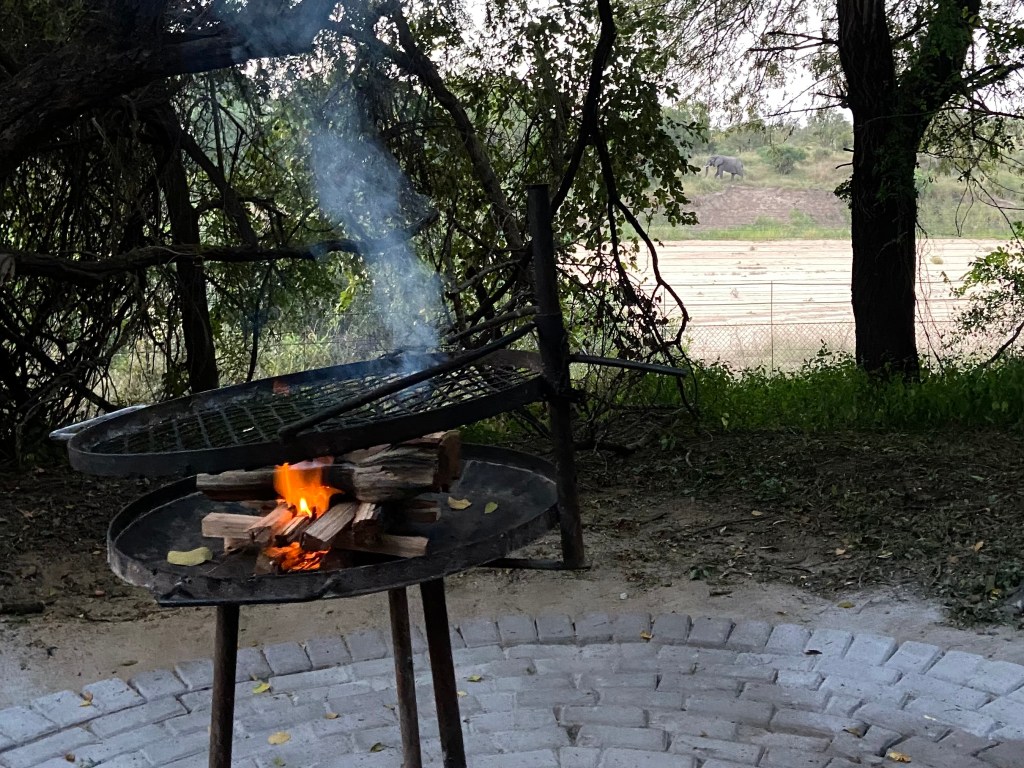 Wood burning on a barbecue with a grill in front of a dried river bed with an elephant walking past. 