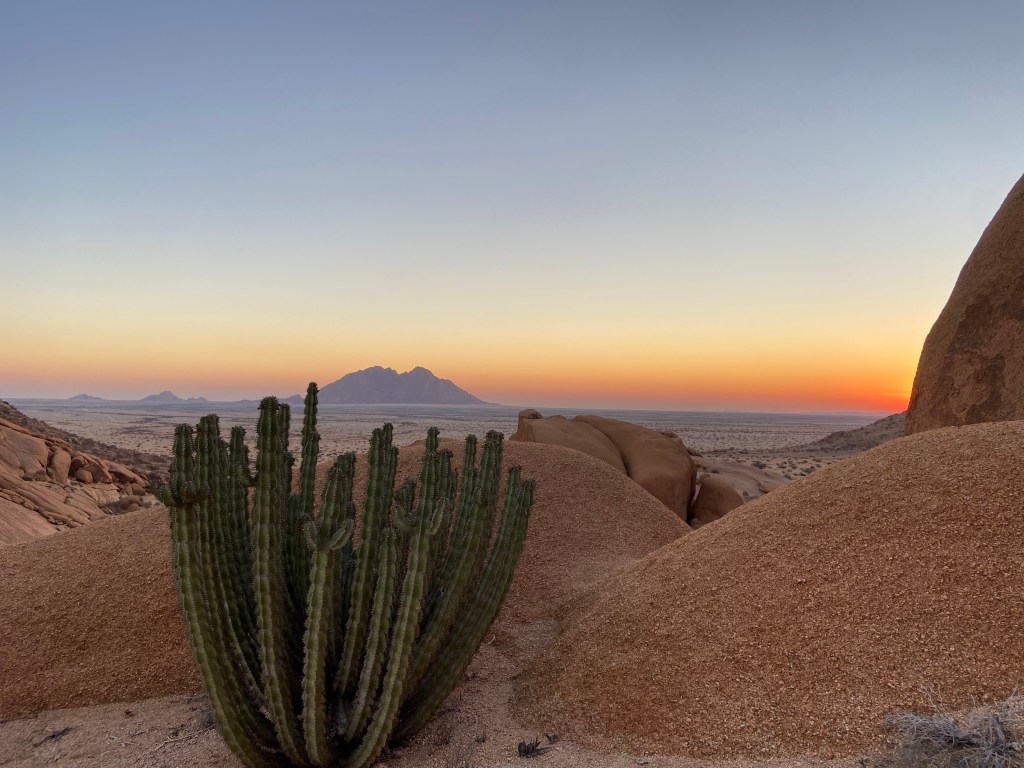 Bright orange sunset in the desert with rocky outcrops and a large, established cactus in the foreground.