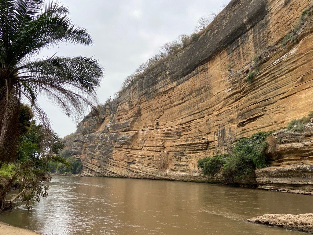 Tall sandstone cliff with horizontal breaks on the bank of a wide and fast flowing river. The other side of the bank are tall palm trees and a sandy bank.