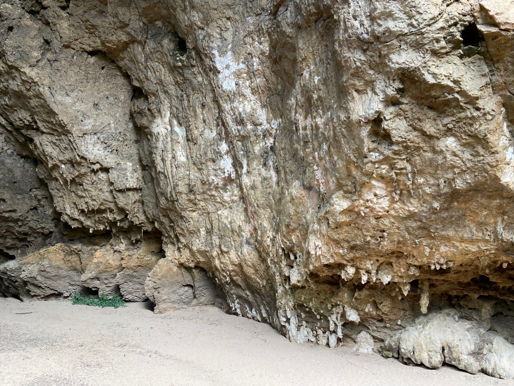 Wall inside a limestone cave dripping with tufas.