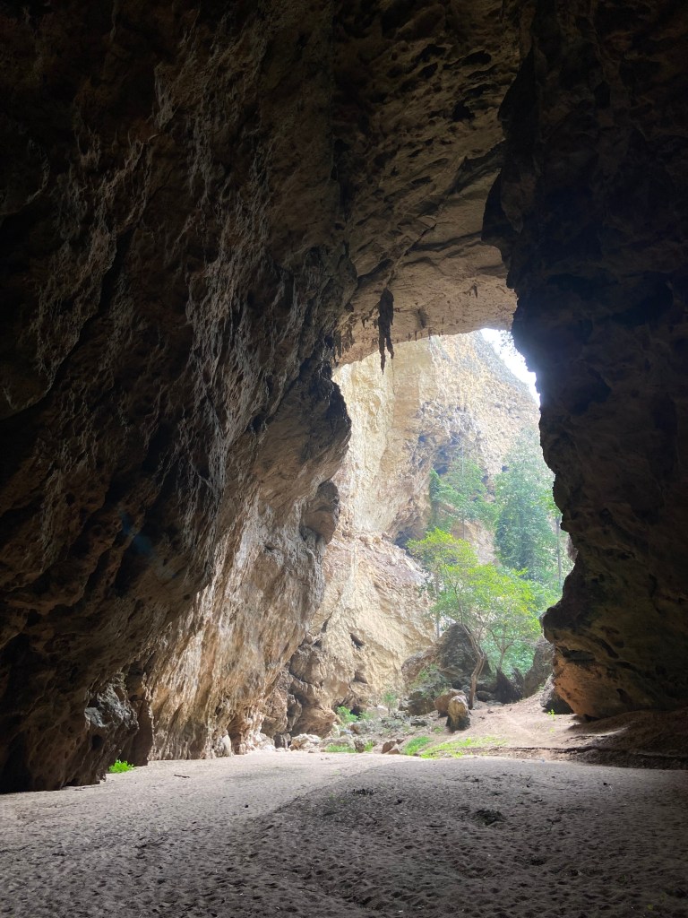 Limestone cave opening with a large stalactite hanging from the apex of the roof.