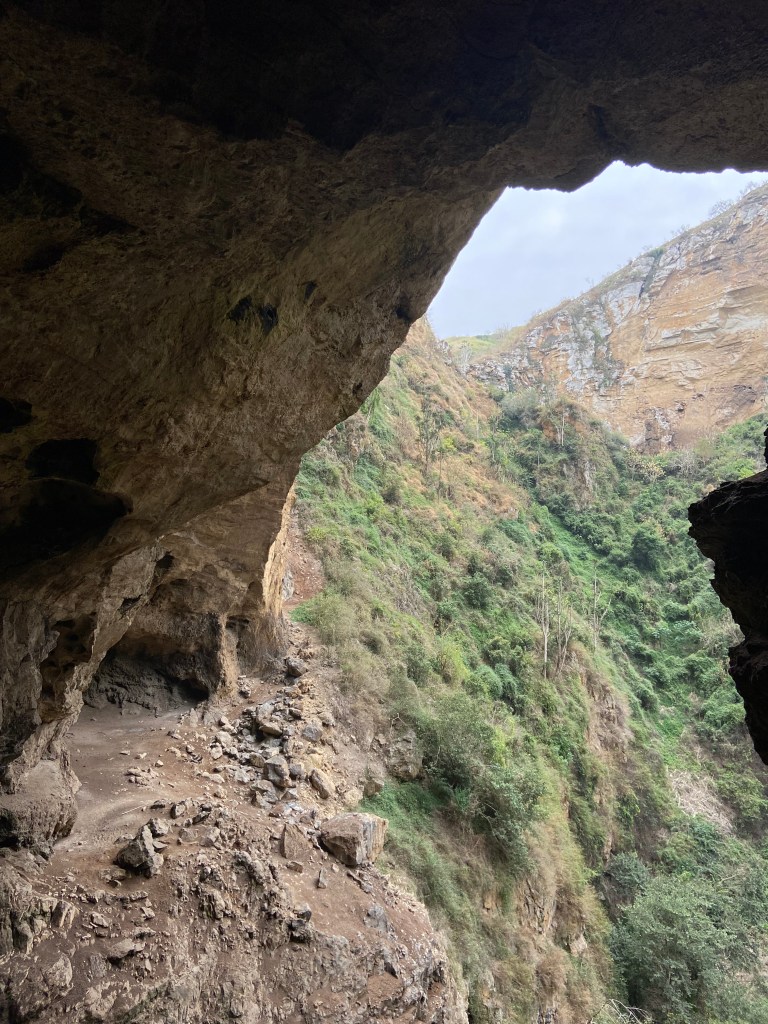 Opening of a limestone cave high up on the mountain side with lush green jungle outside the cave opening.