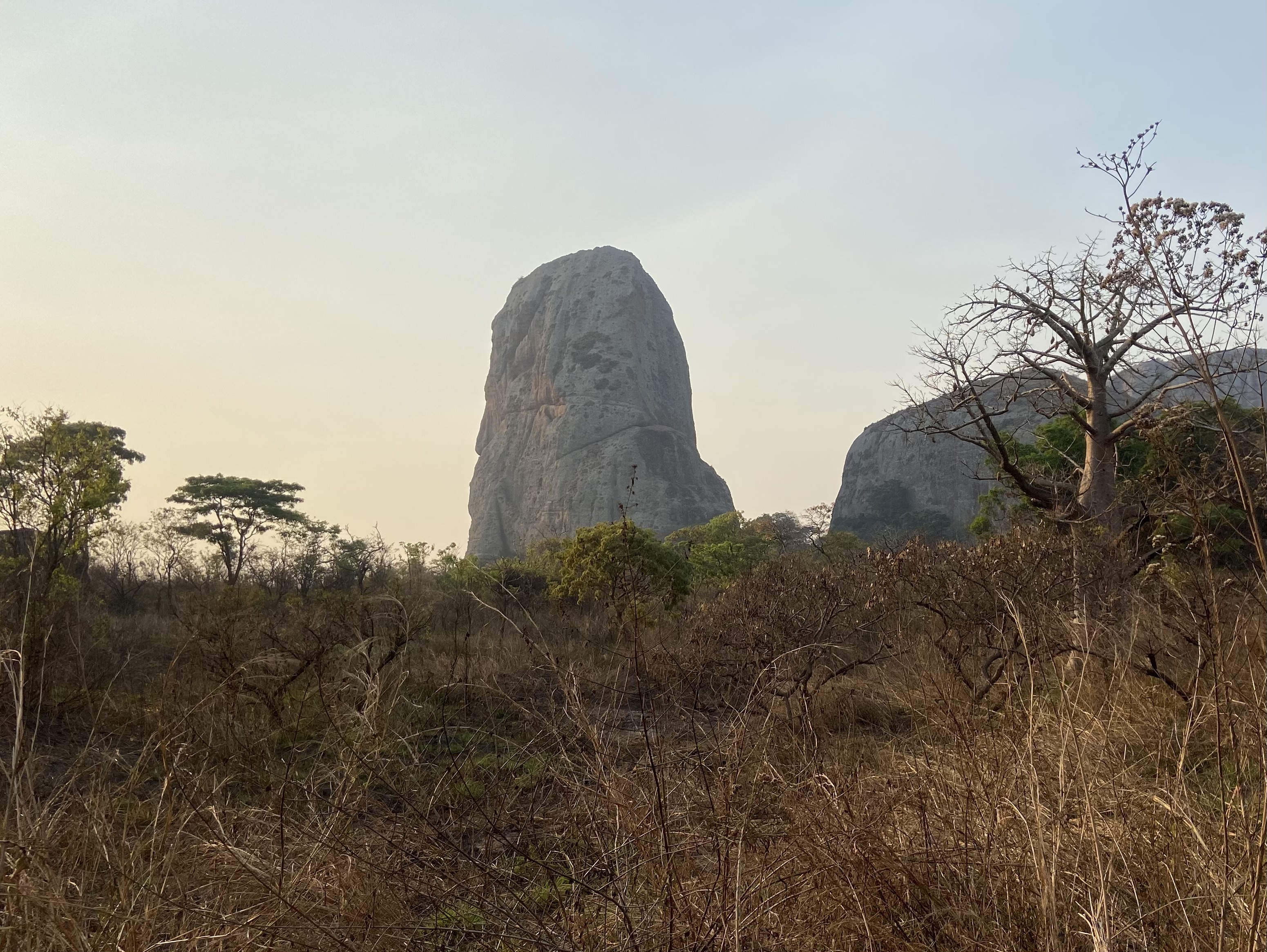 Singular rock tower emerging from the African bush.