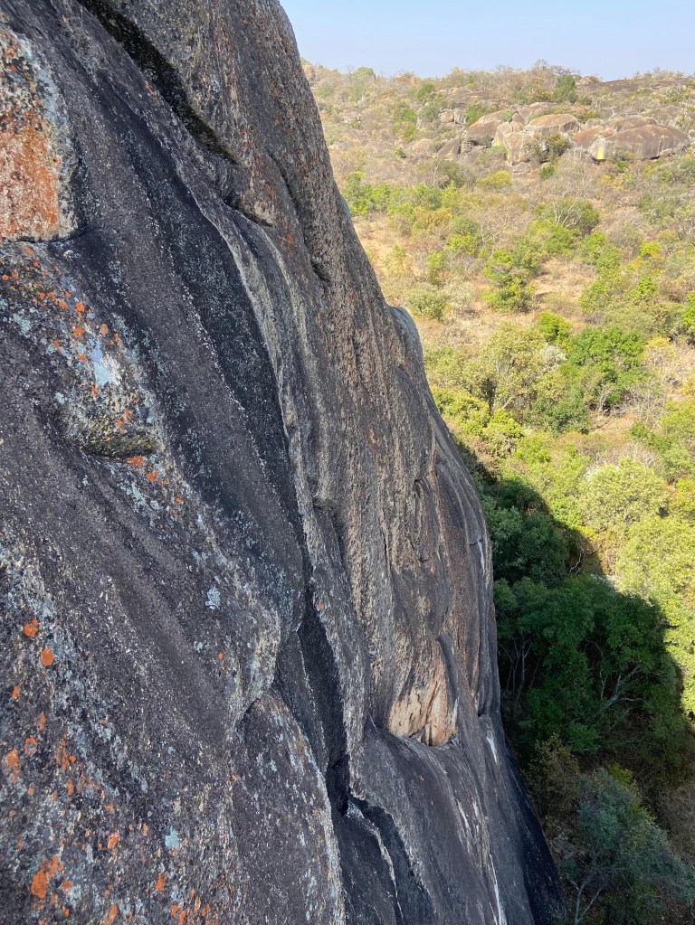 Dark streaky granite wall with dense trees below. 