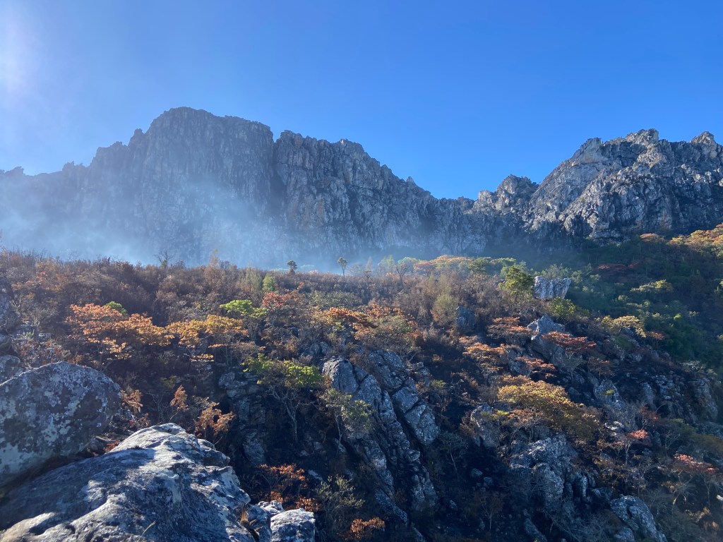 Rocky quartz mountain range covered in extensive forest and the light mist of the morning. 