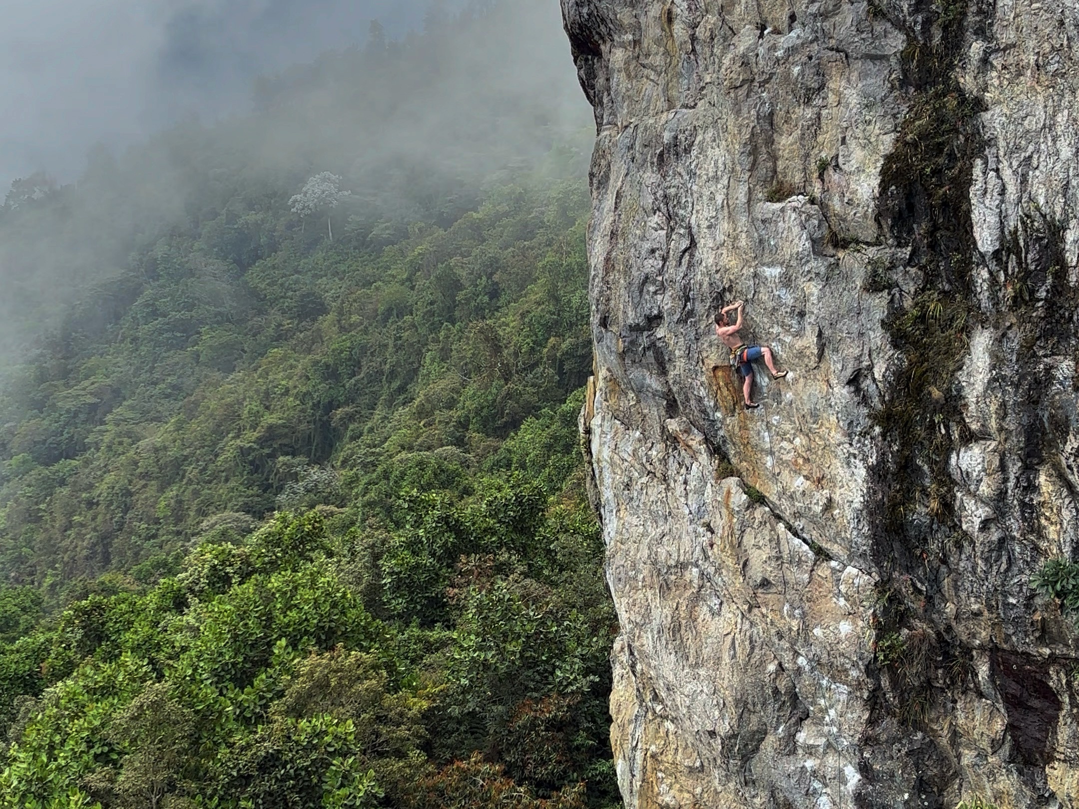 Climber on delicate hand move on steep grey granite wall above the forest. 
