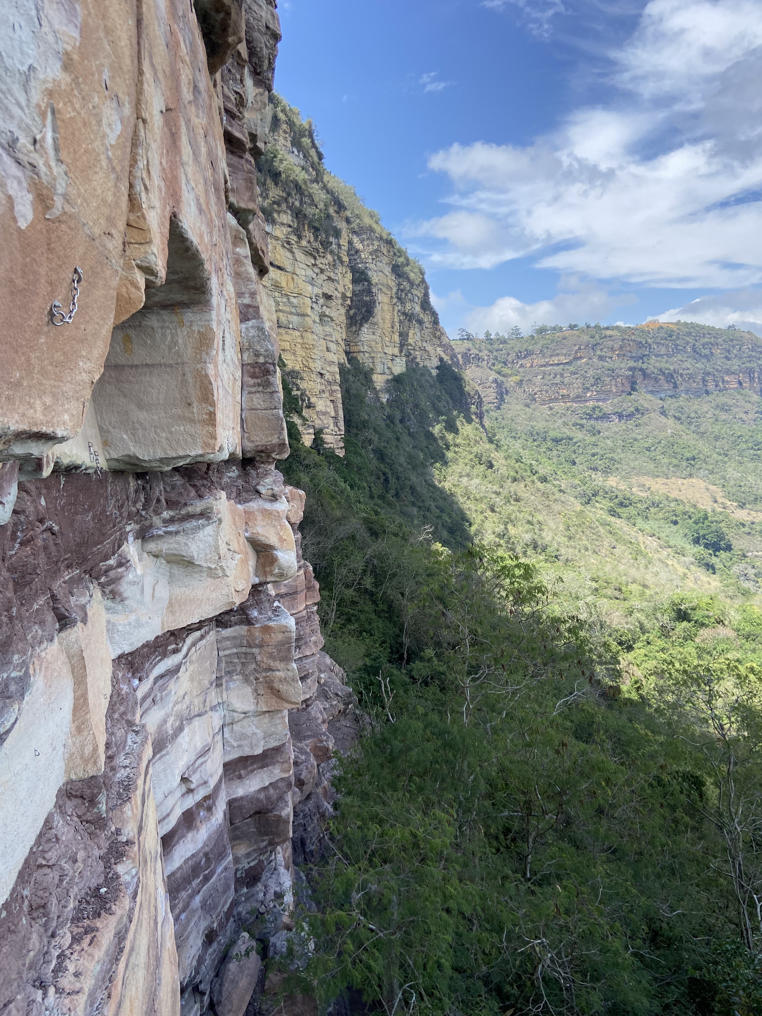 Light and dark horizontal stripes running through the band of sandstone rock with trees at the base of the cliff.