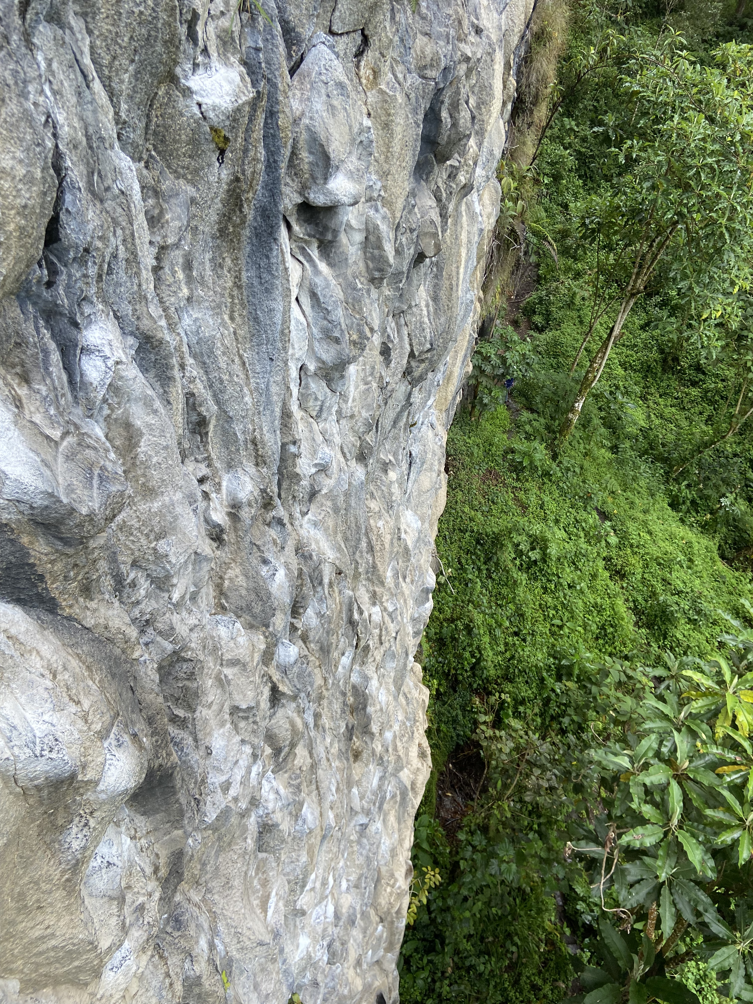 Tall conglomerate type featured basalt cliff with vibrant green jungle below. 