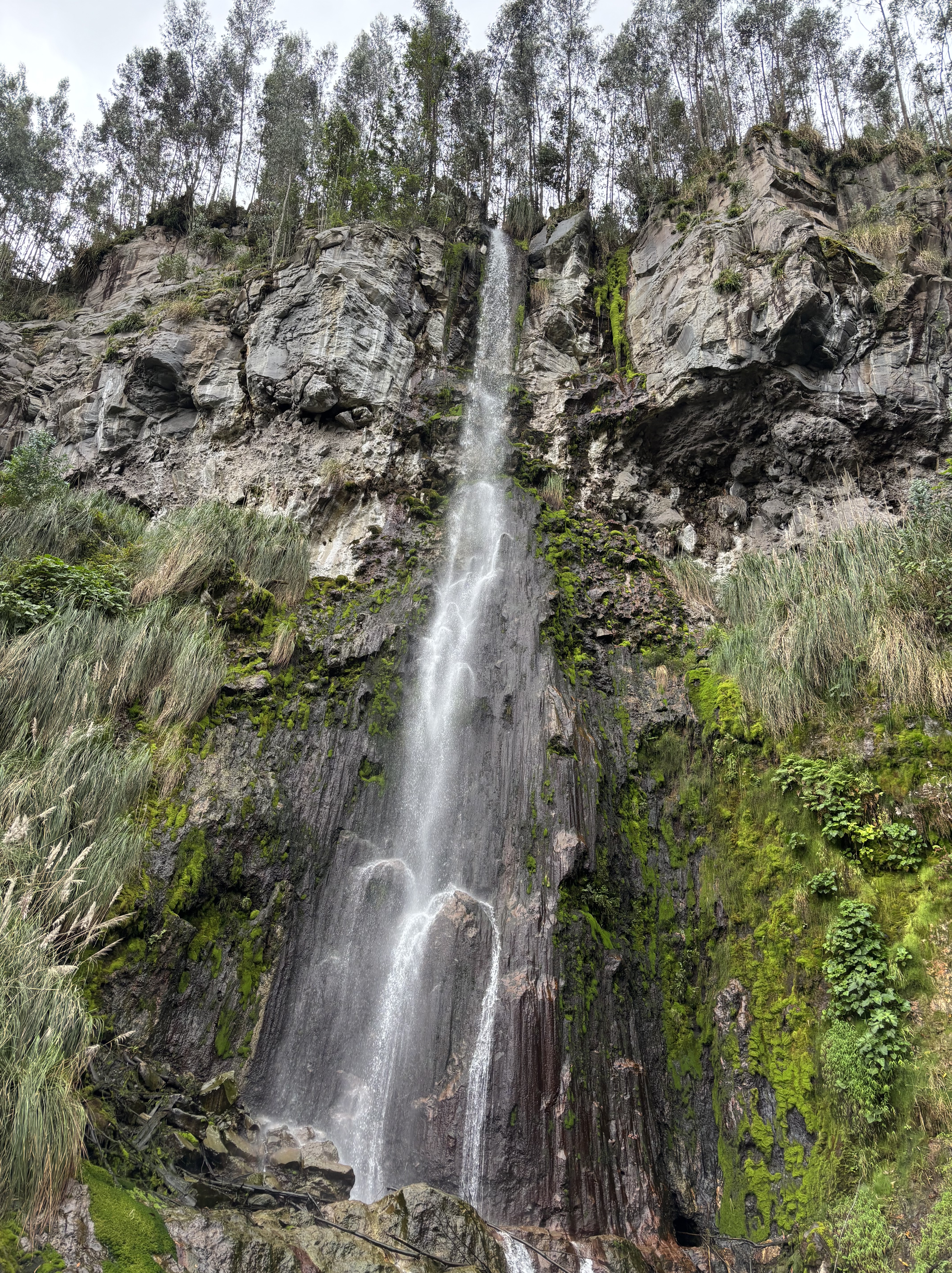 Tall waterfall flowing over the grey basalt crag which has a conglomerate band of rock at the bottom and there are trees on the top of the crag as well as lush vegetation at the base. 
