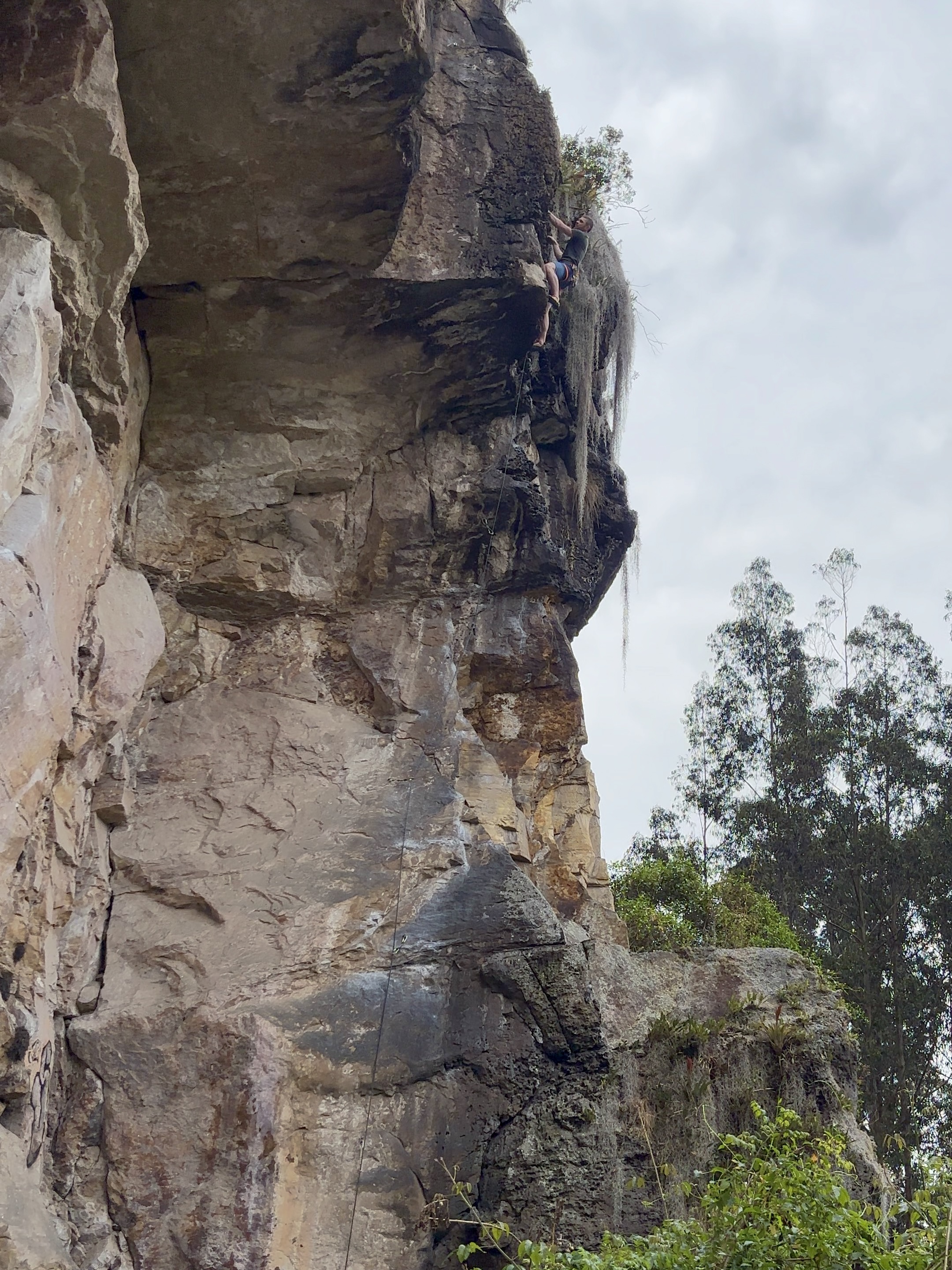 Climber on sandstone crag with dark and light rock and beards of lichen draping down from the top of the cliff. 