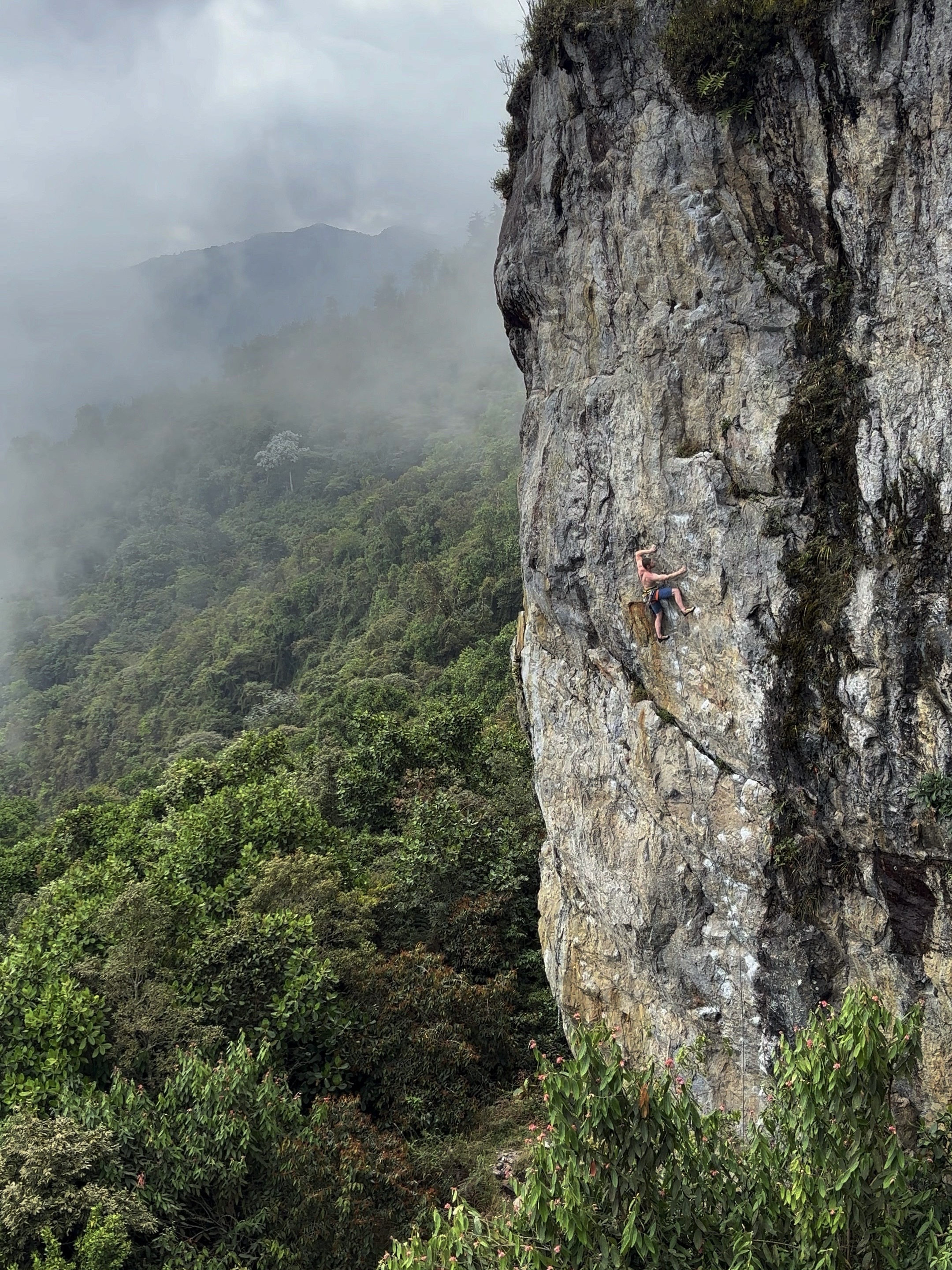Climber with a high right foot on a granite wall above the forest. 
