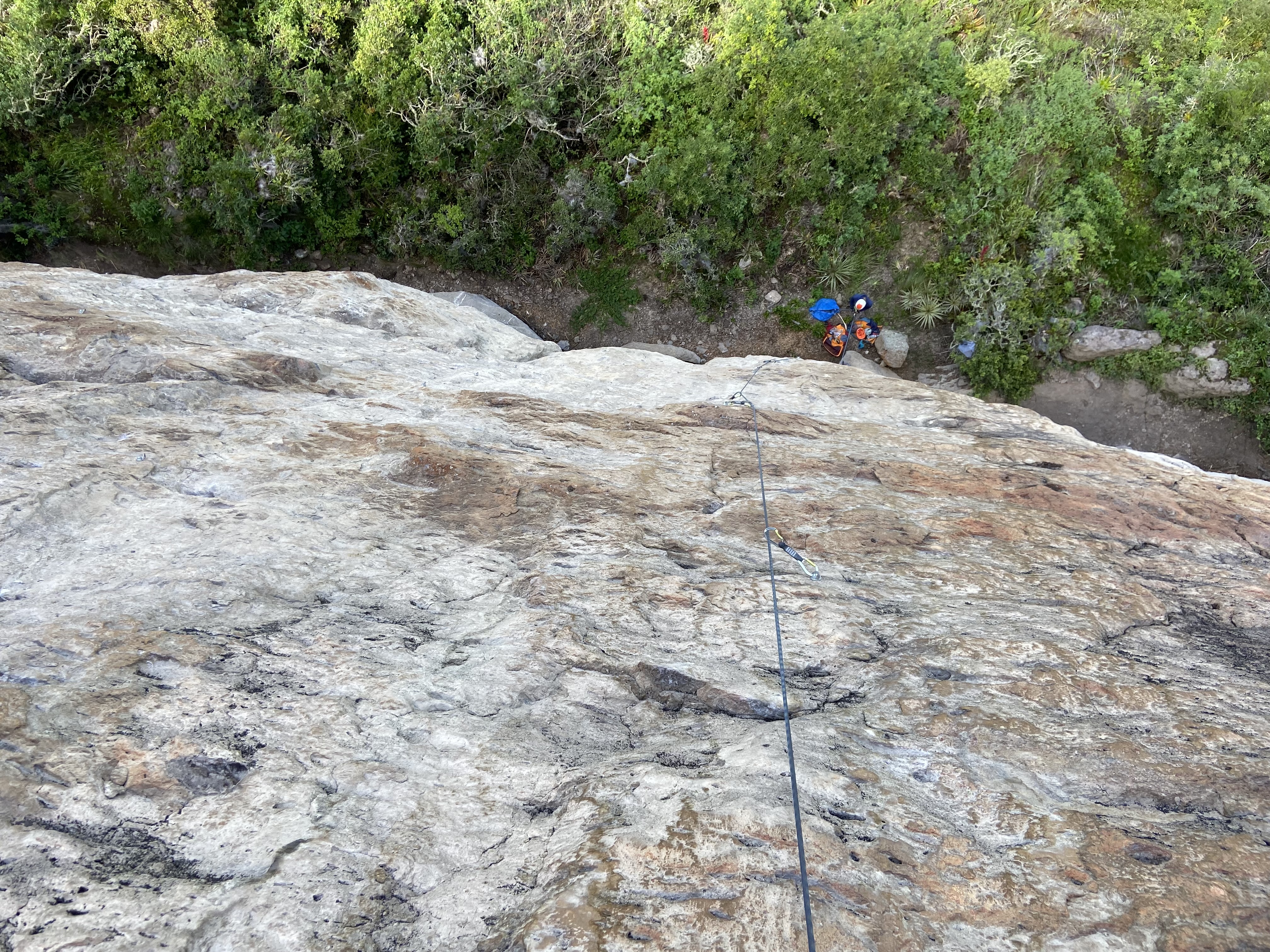 Looking down a light coloured crag to green bushes below. 