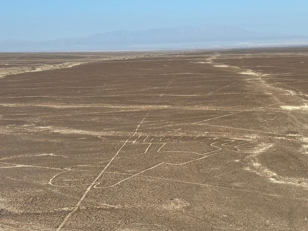 White outline of a frog drawn in a desert plain of dark rocks and sand.