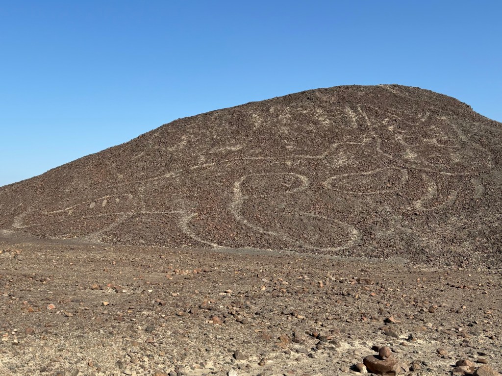 White outline of a cat drawn into the dark sandy hillside. 