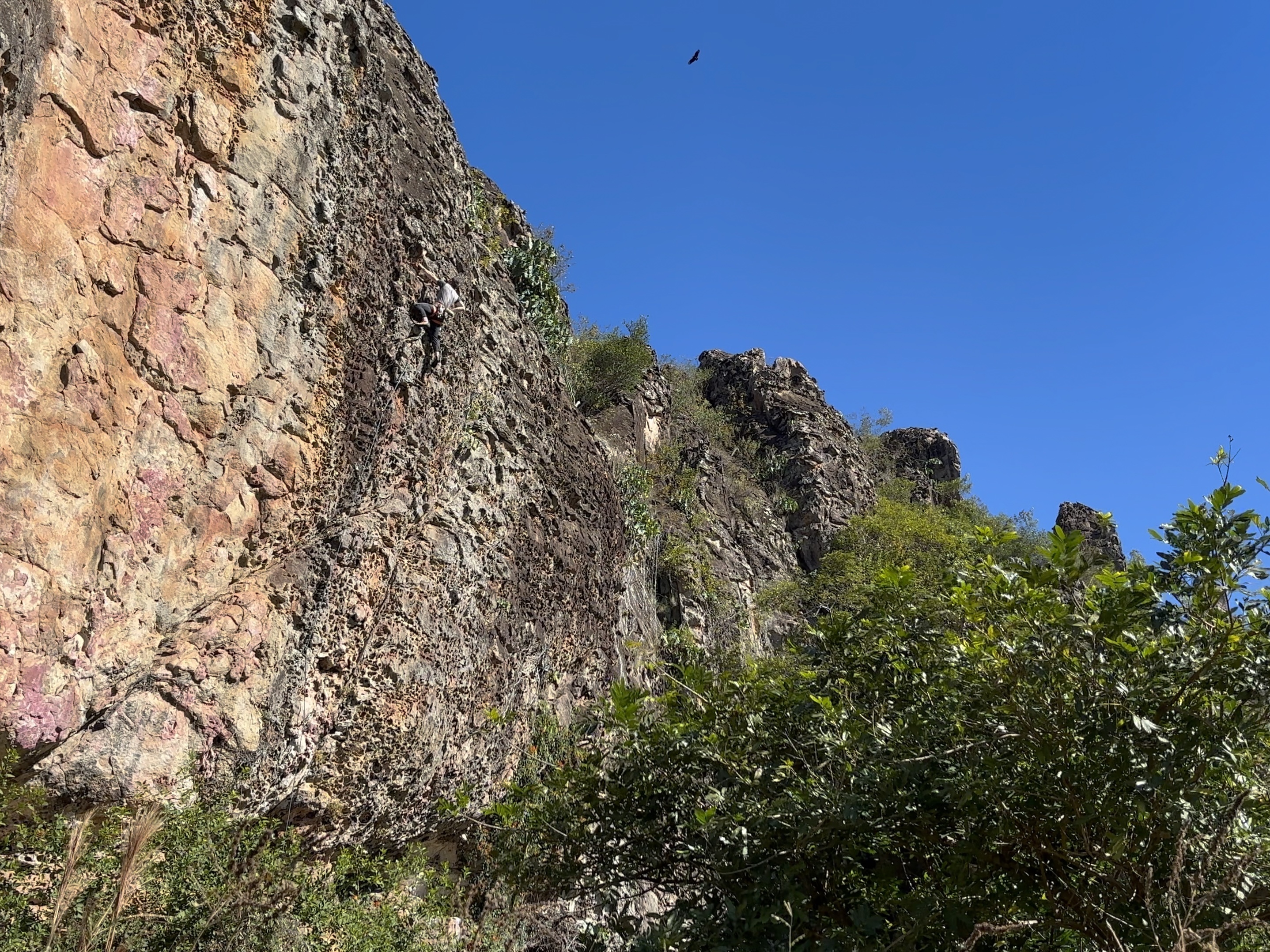 A climber on a dark streak of rock on a tall orange and pink sandstone cliff covered in flakes.
