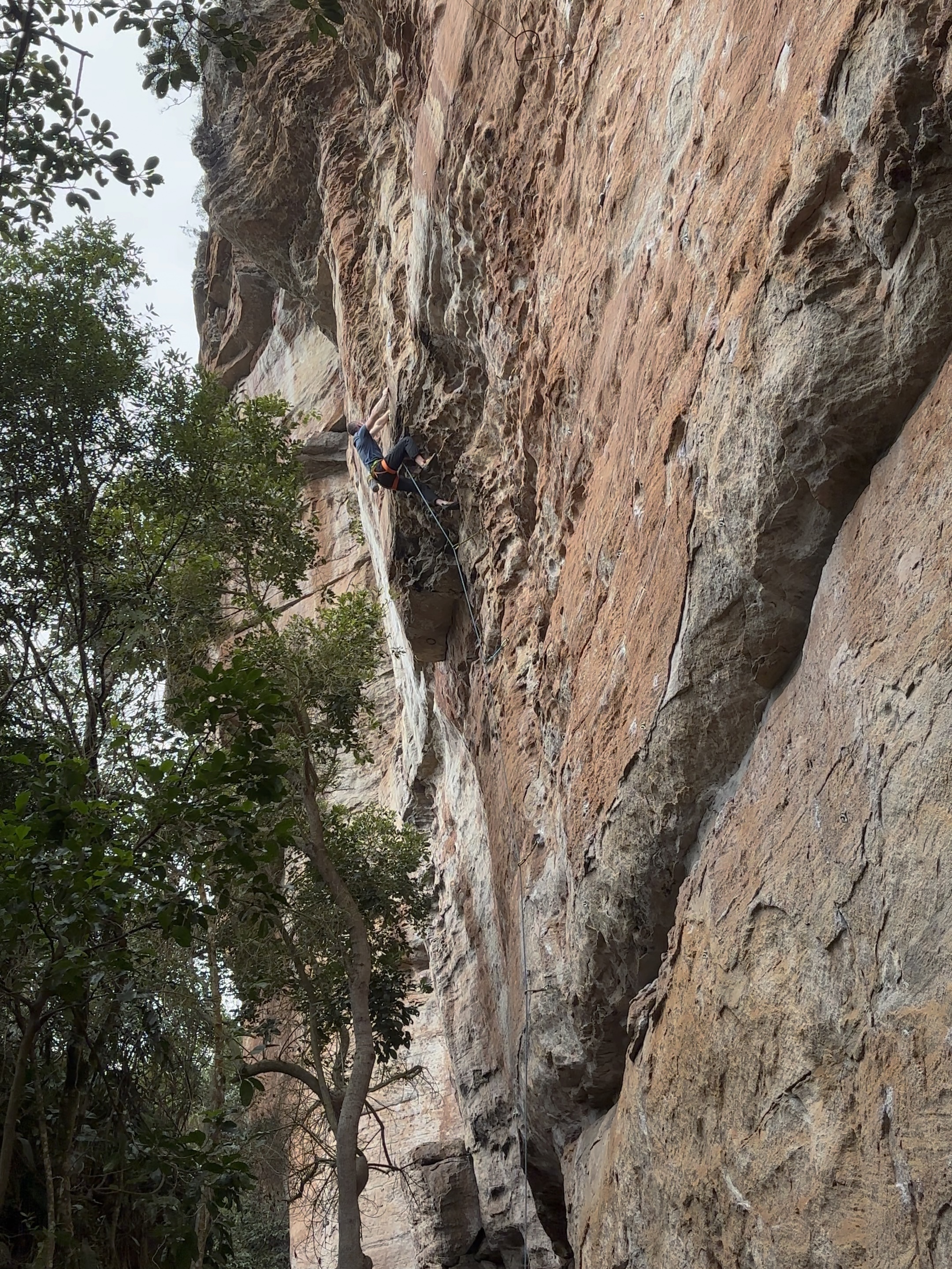 Climber pulling through an overlap on a featured overhanging sandstone wall.
