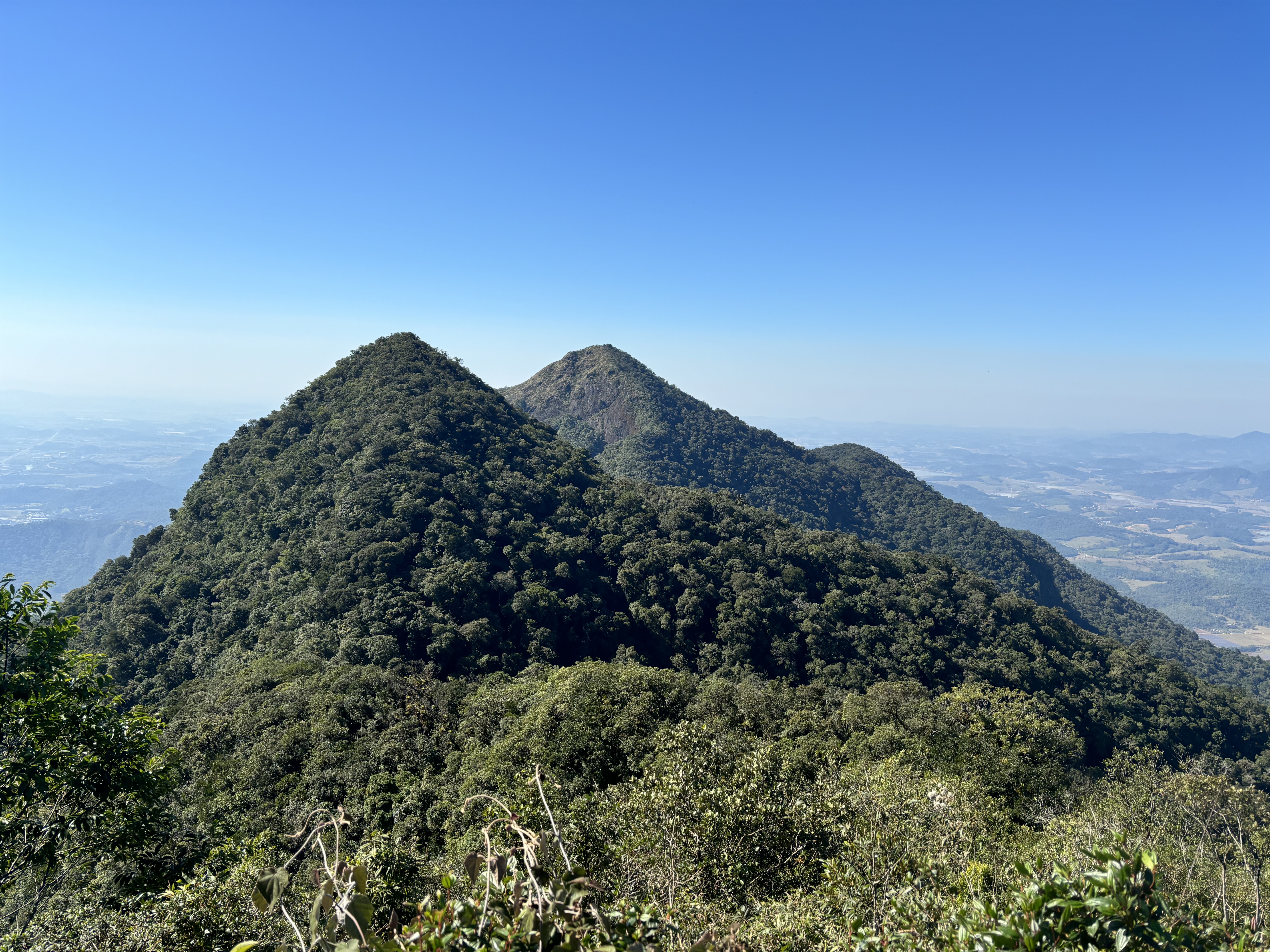 Dense jungle covered pointed mountains stand high over the flat farm land below.