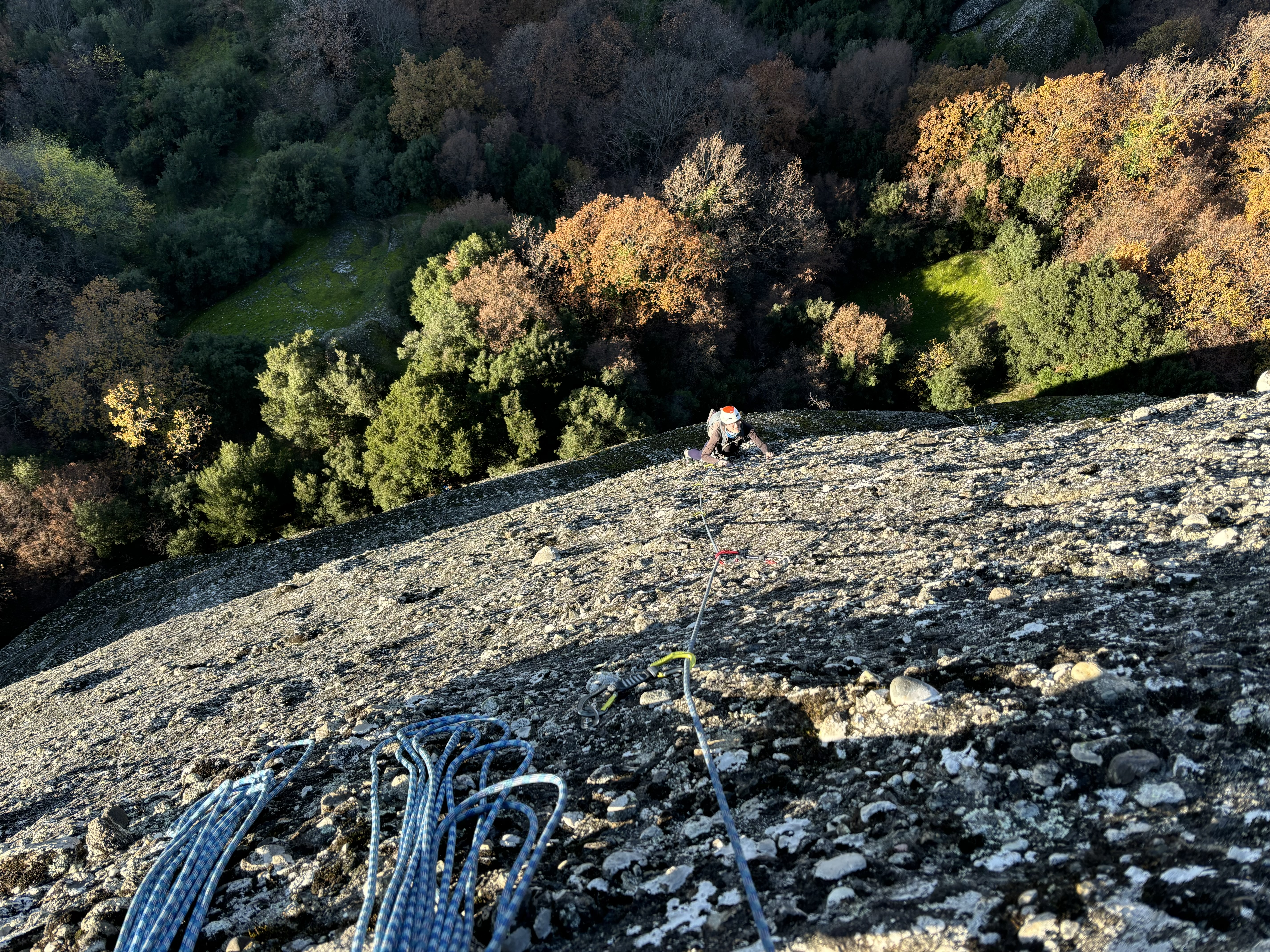 Climber on a grey conglomerate wall with autumnal coloured forest below.