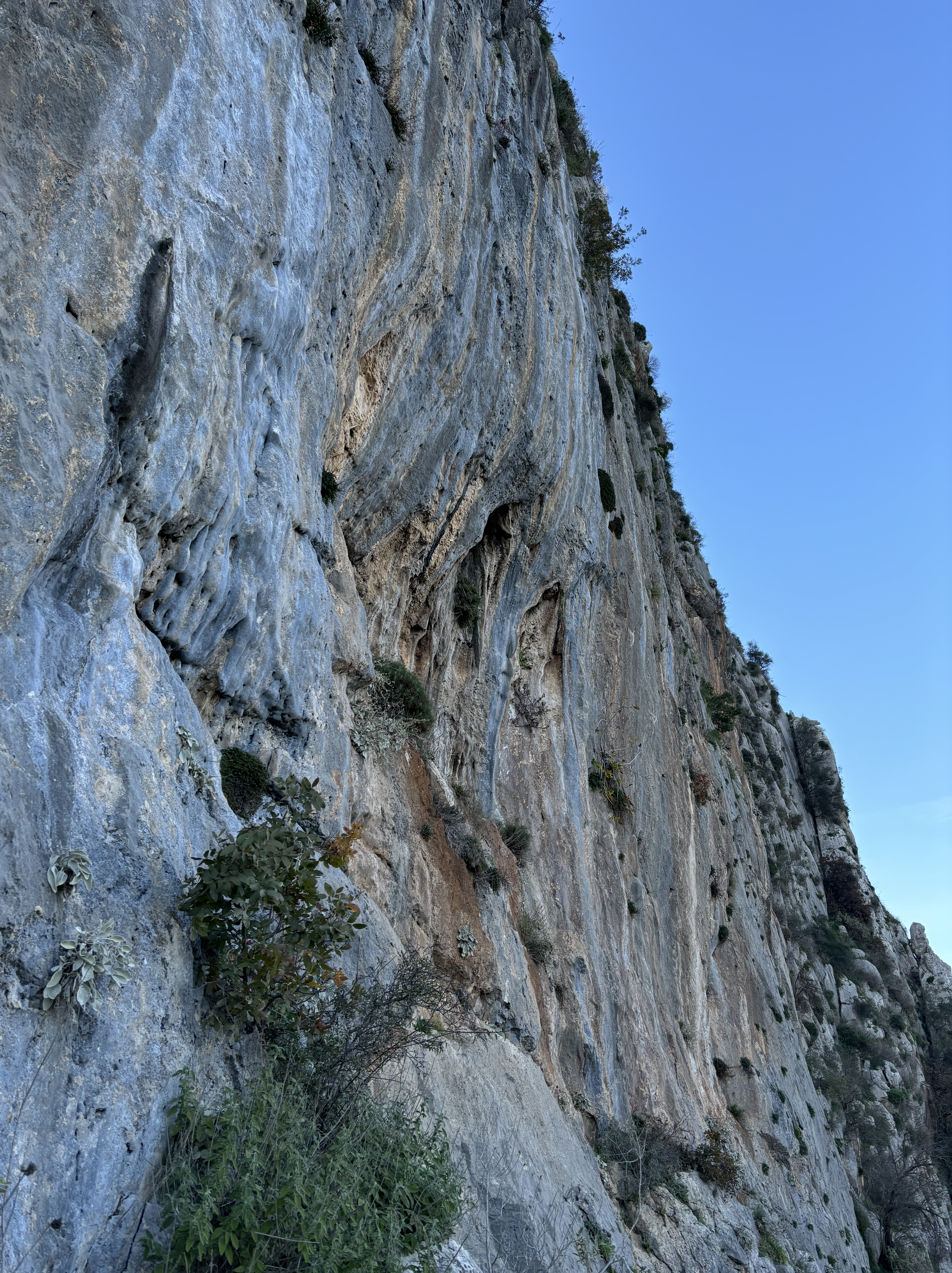 Blue limestone wall with overhanging sections of pale yellow rock and more vertical grey sections.