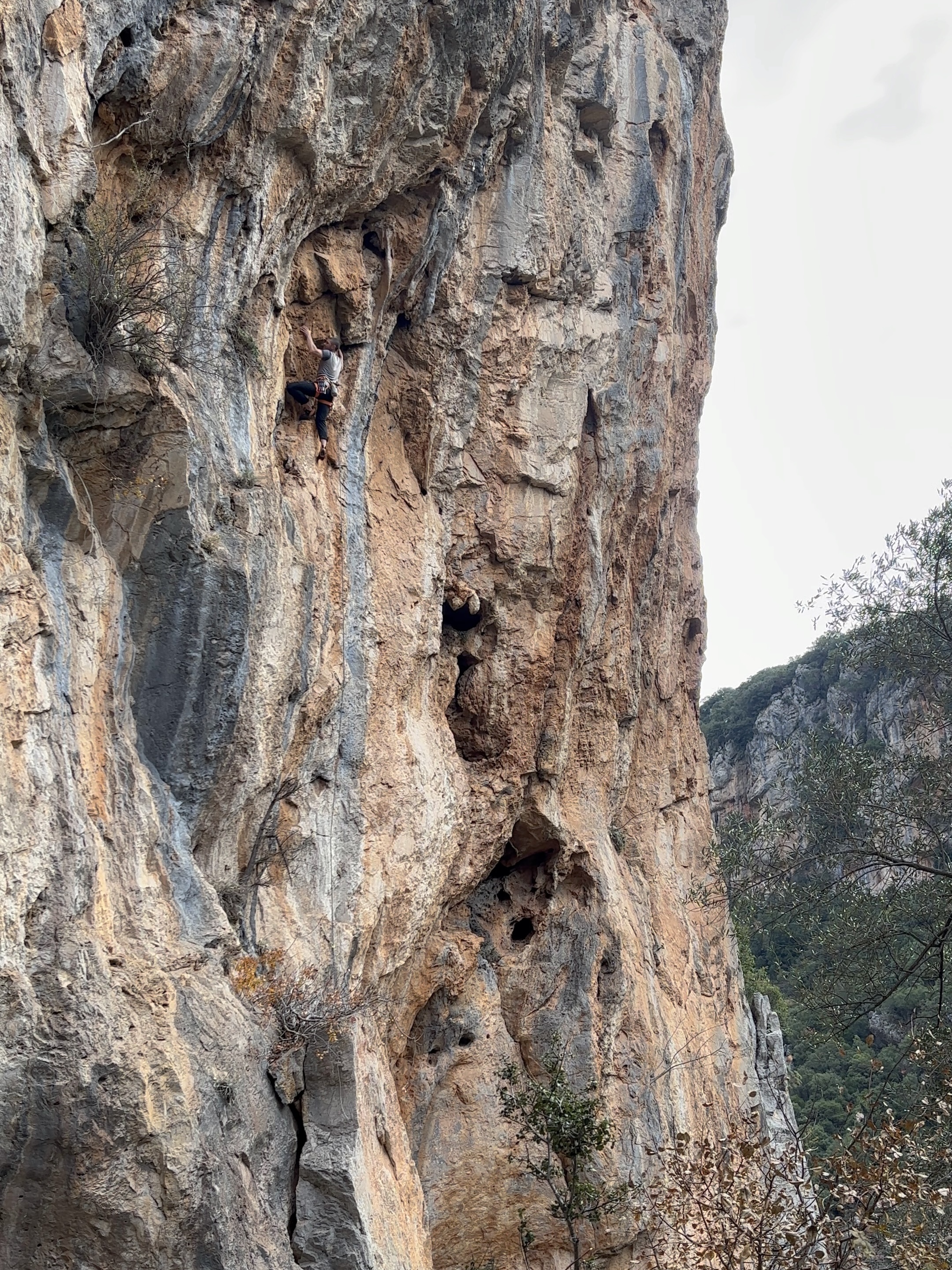 A climber in grey compresses holds on a mildly overhanging grey and orange limestone cliff.