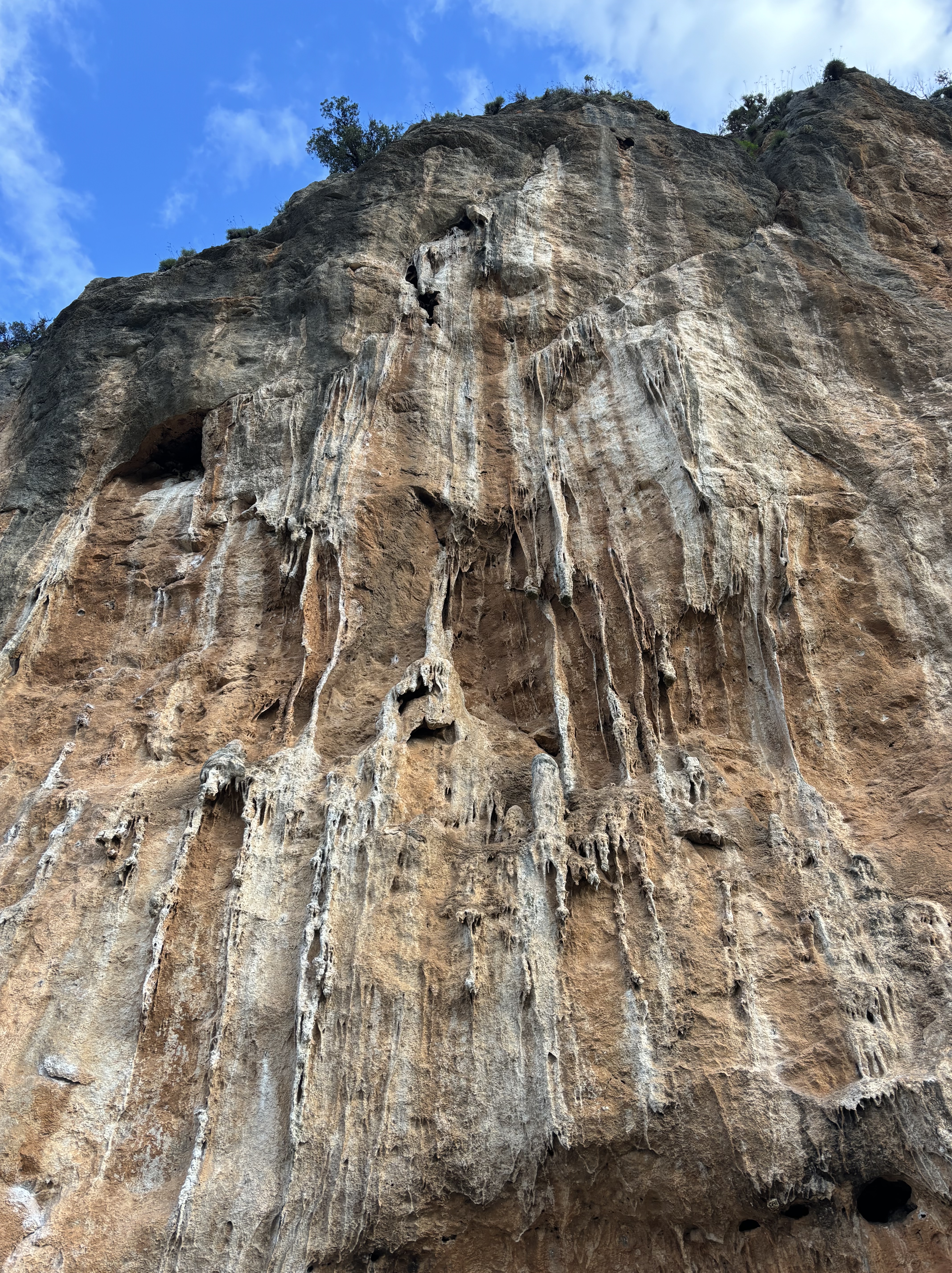 Orange overhanging limestone wall with stalactites and drainpipe tufa formations.