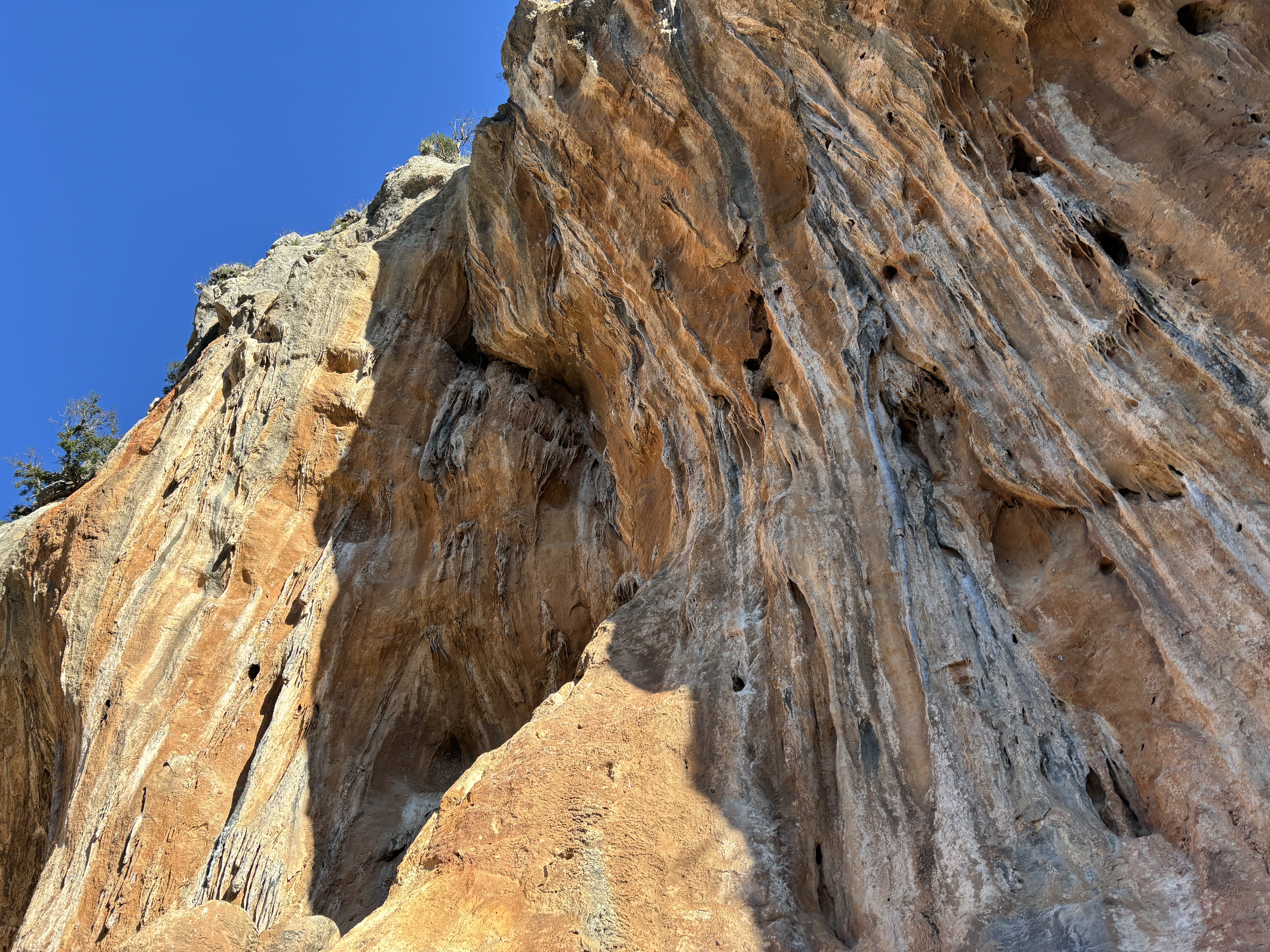 Shaded cave covered in long, impressive tufas on a bright sunny day.