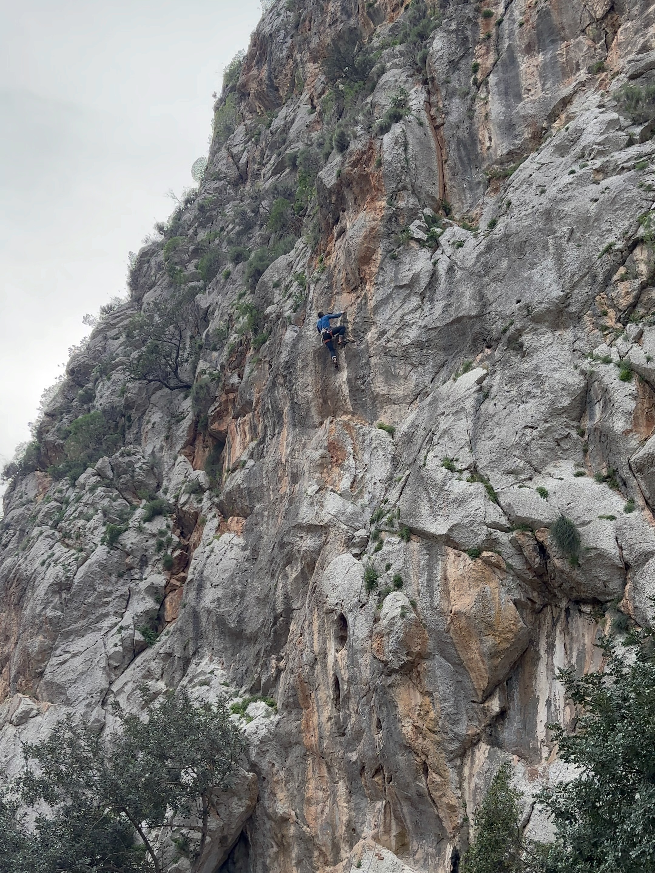 Climber on a vertical grey limestone wall with a textured honeycomb-like surface, with a grey, overcast sky in the background.