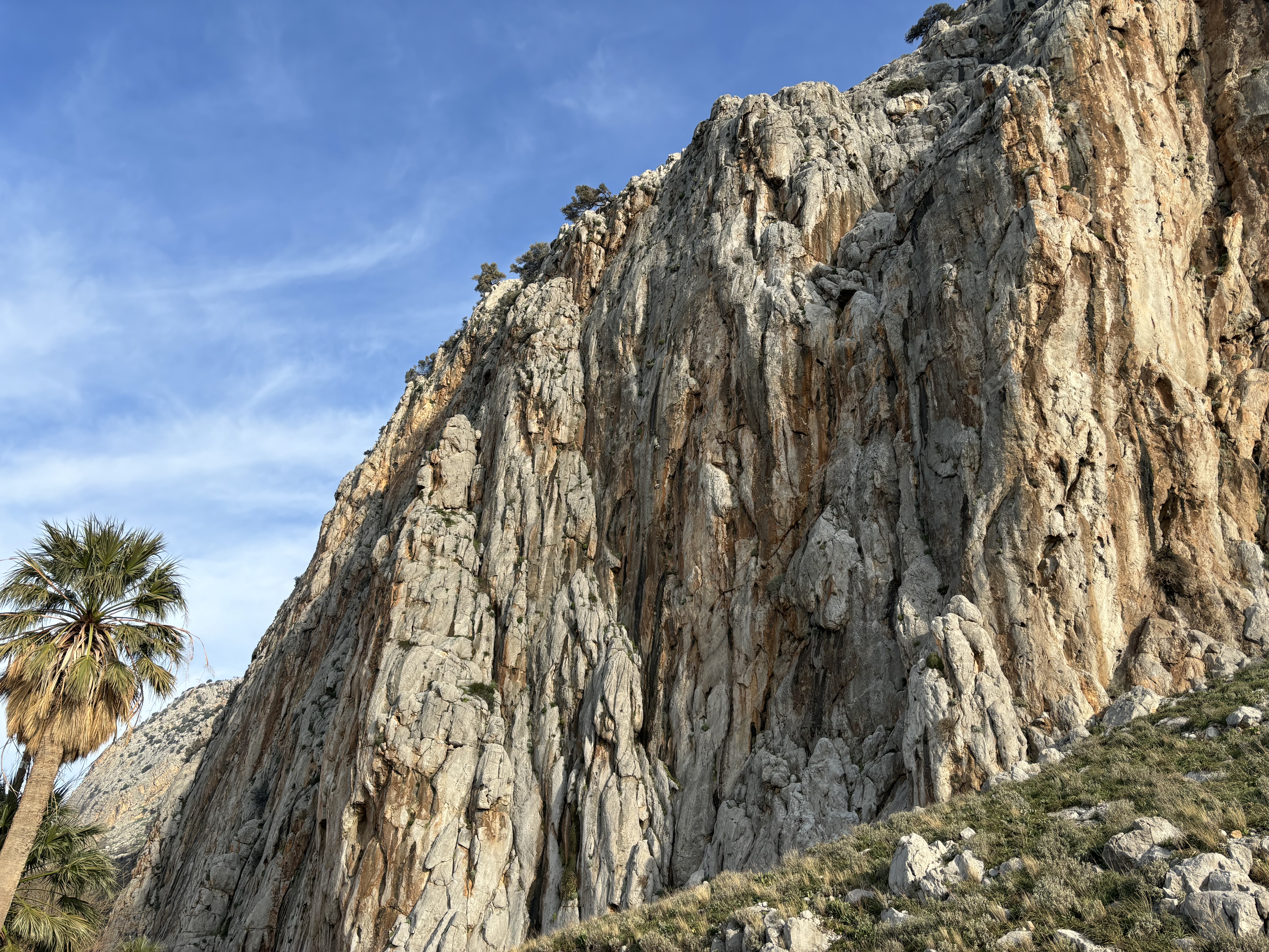 Broken limestone buttress set on steep hill side with a palm tree on a blue sky day.