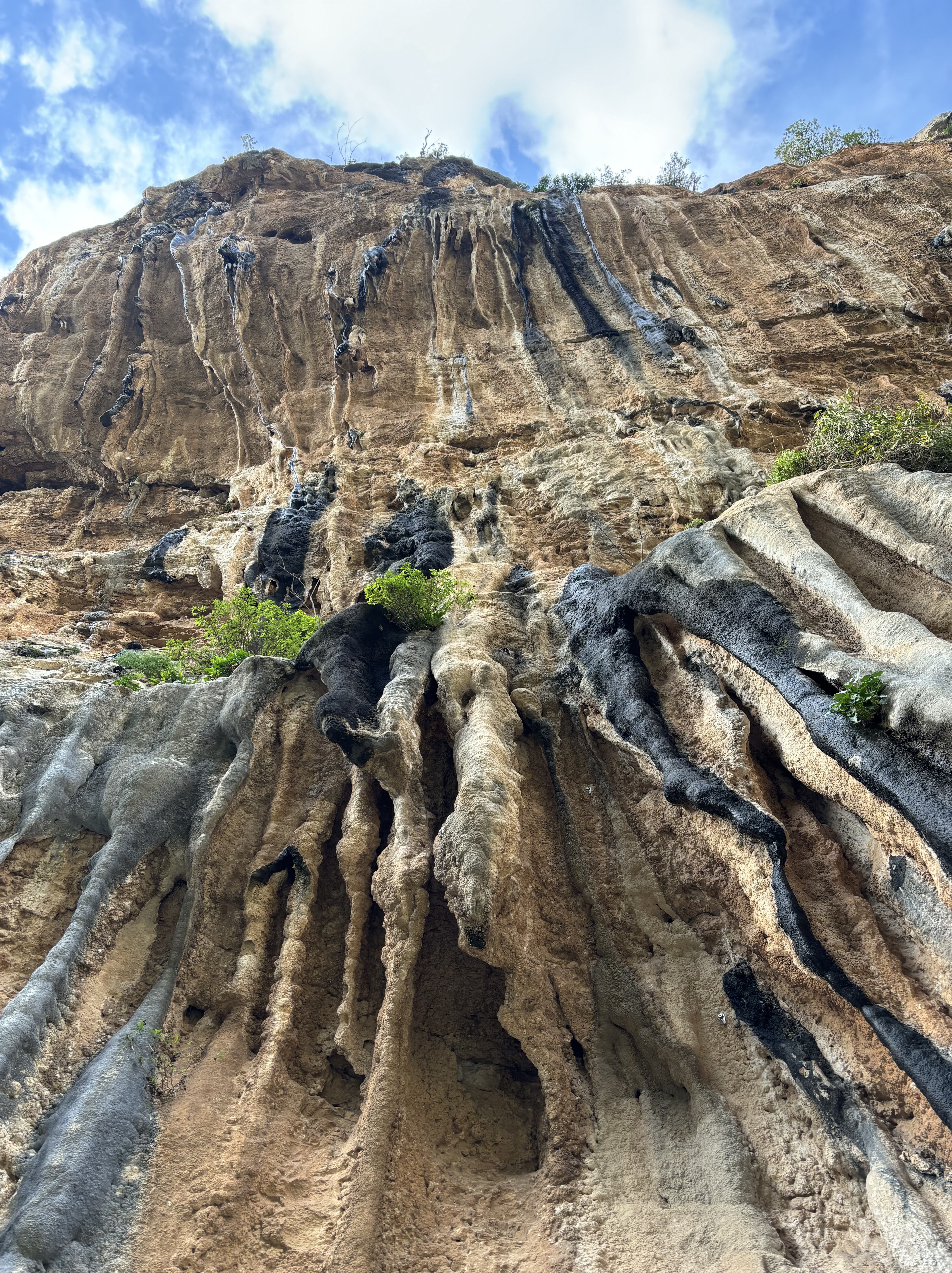 Organ pipe-like tufas on an overhanging cliff of orange limestone.