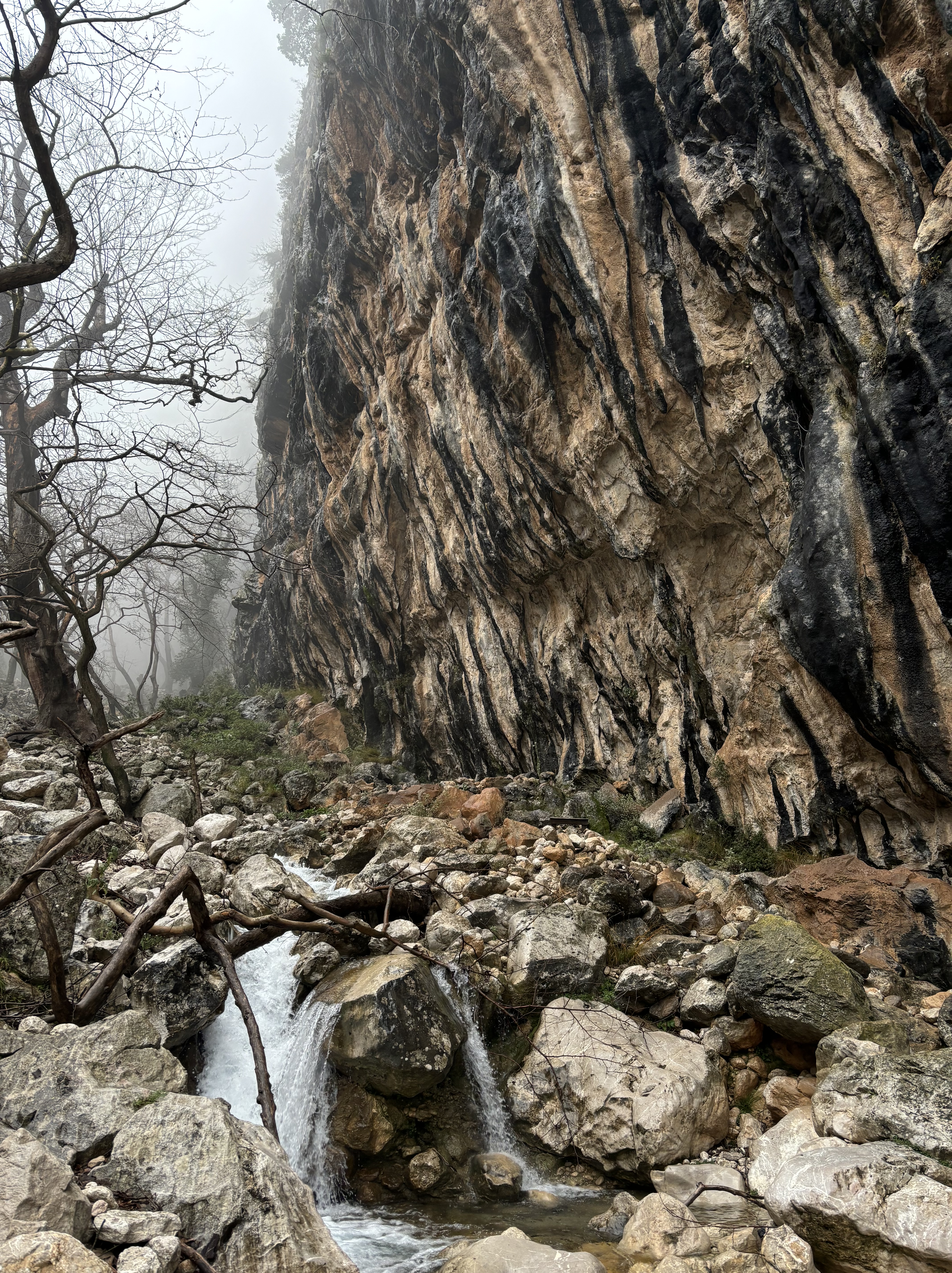 A wet crag covered in tufas, with a small cascading stream below, set within a foggy forest.