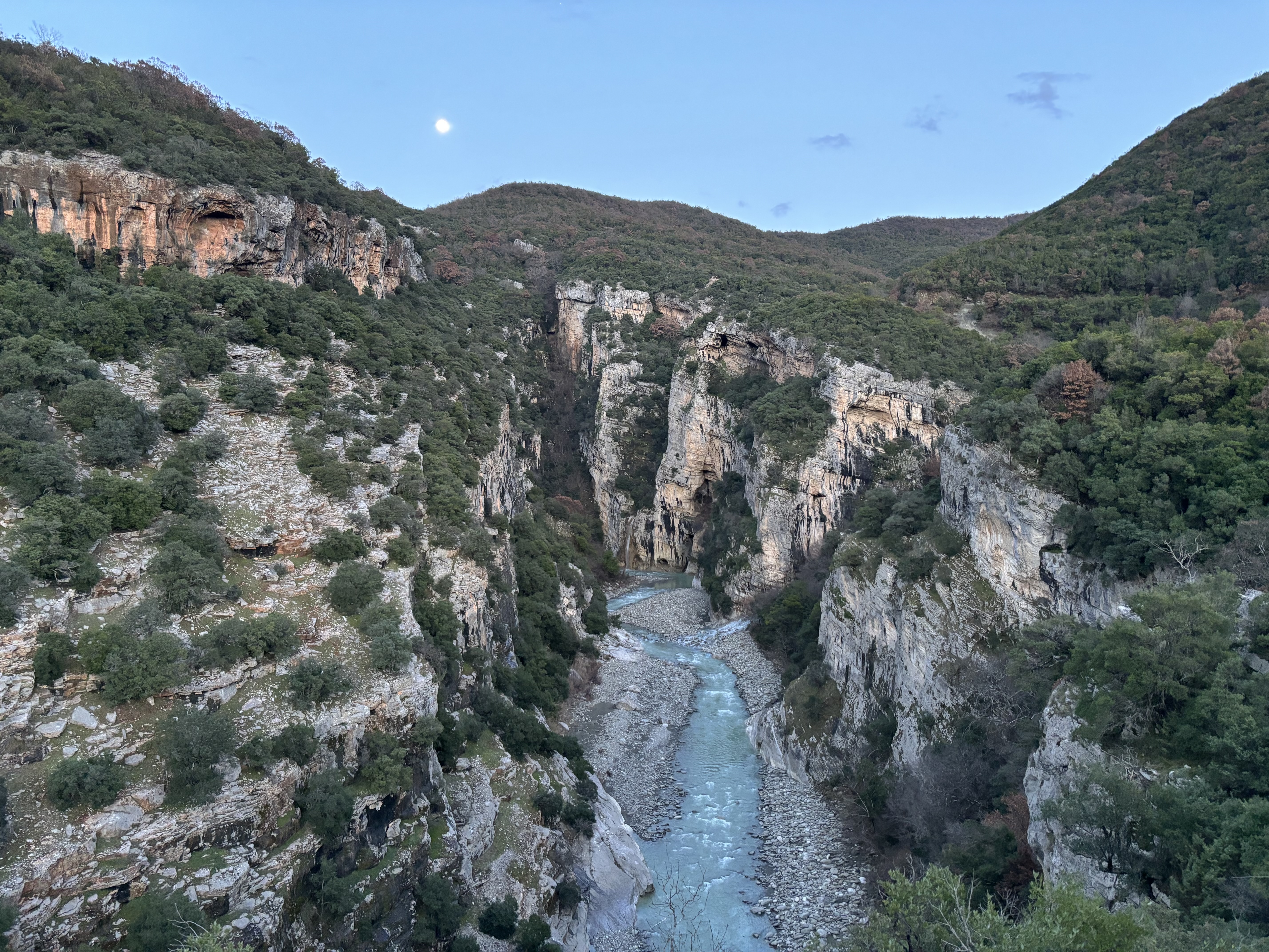 Cliffs line the side of a forested canyon, with a river in the bottom, with the moon visible in the sky above. 