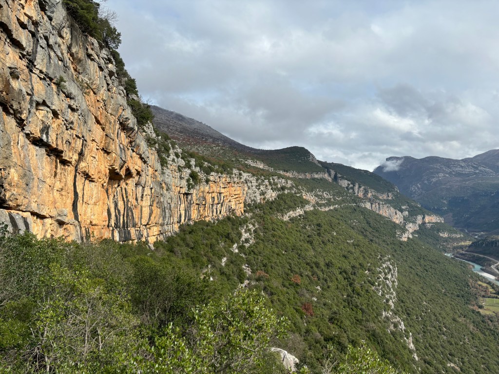 Long cliff band extending into the distance with shrubby forest below. 