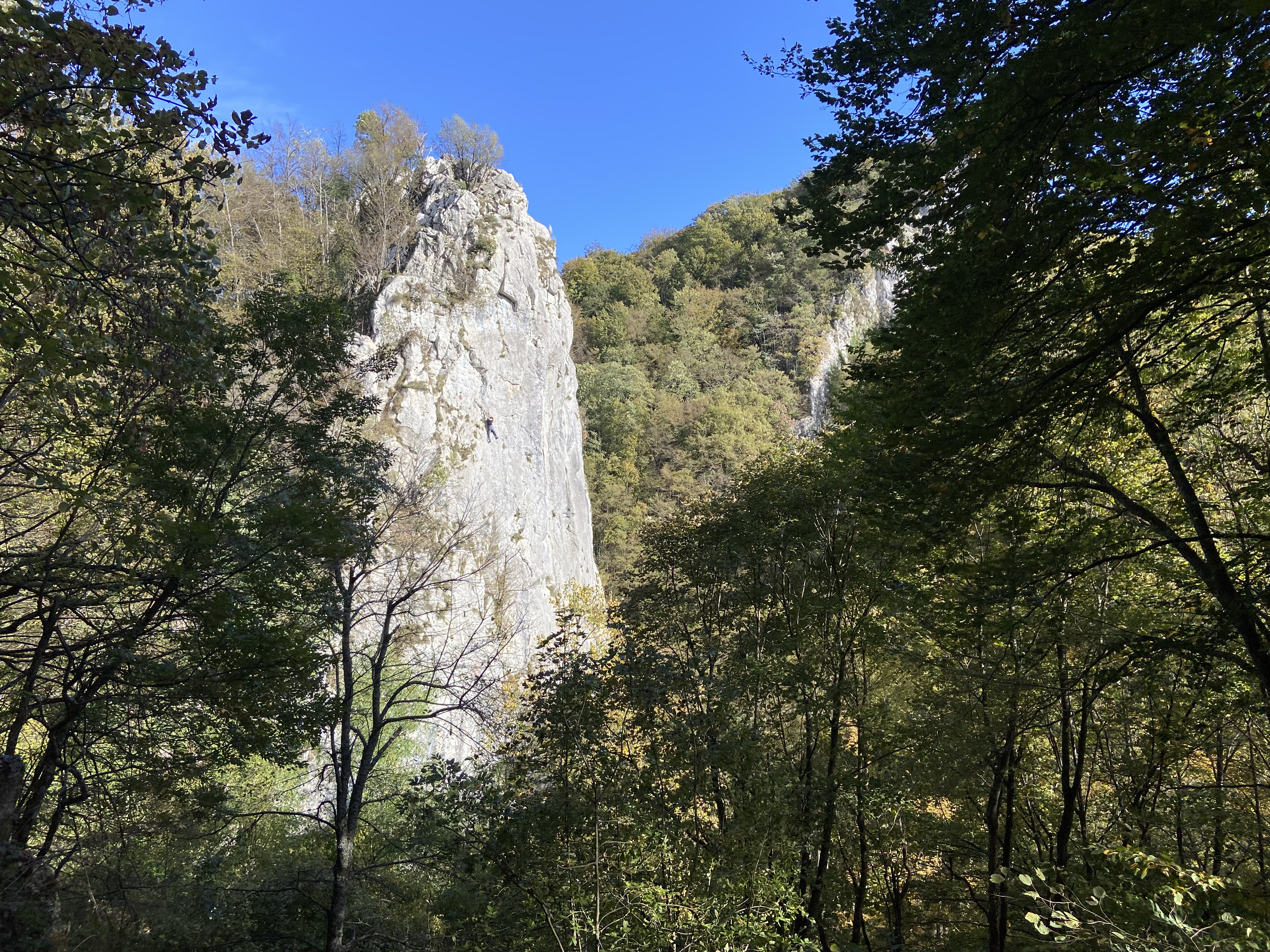 A climber around 25 meters high on a 35 meter cliff, viewed through a gap in the trees of a leafy forest. 