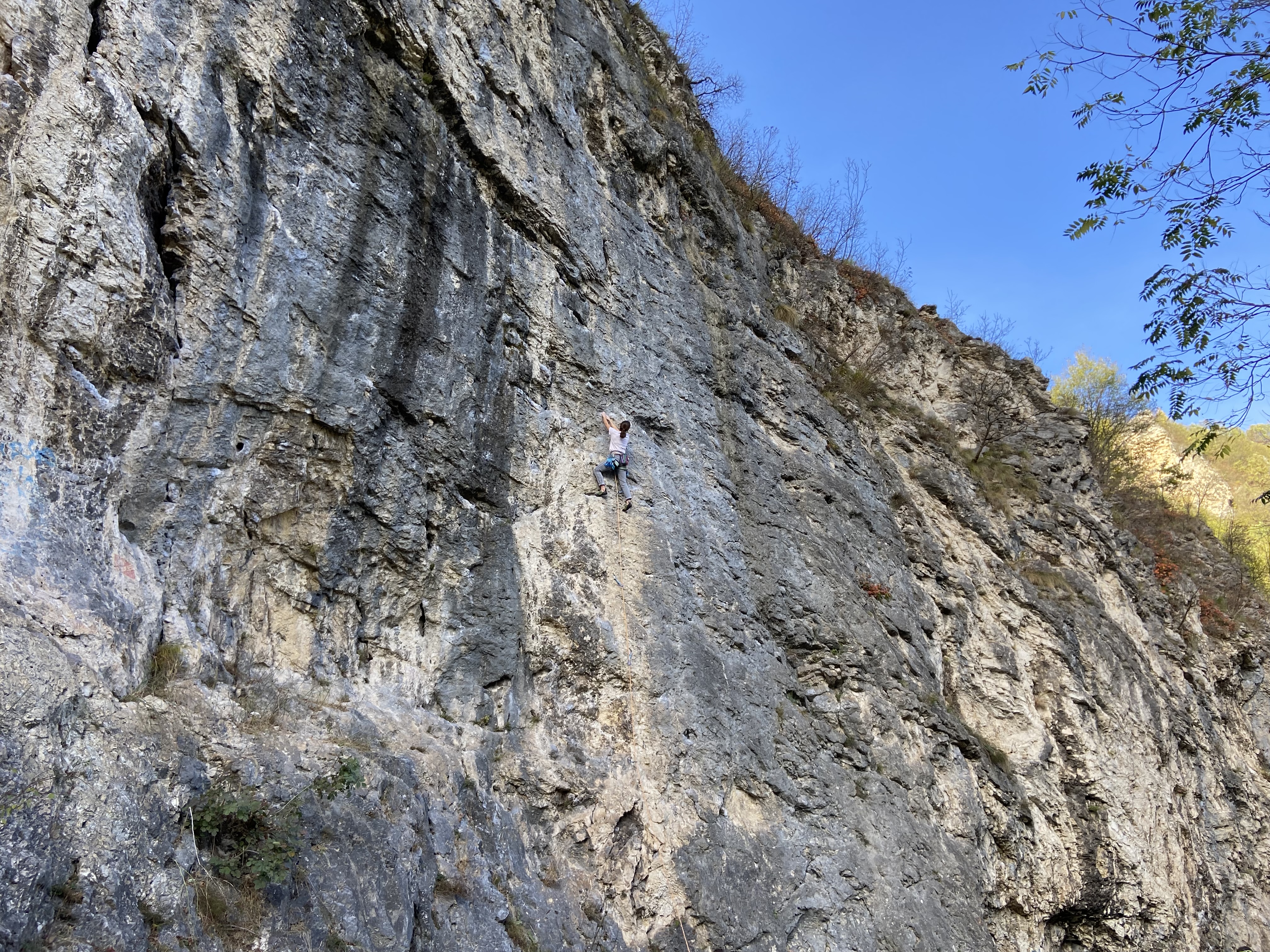 A climber in a white t-shirt climbs a grey and yellow limestone cliff in the shade on a sunny day. 