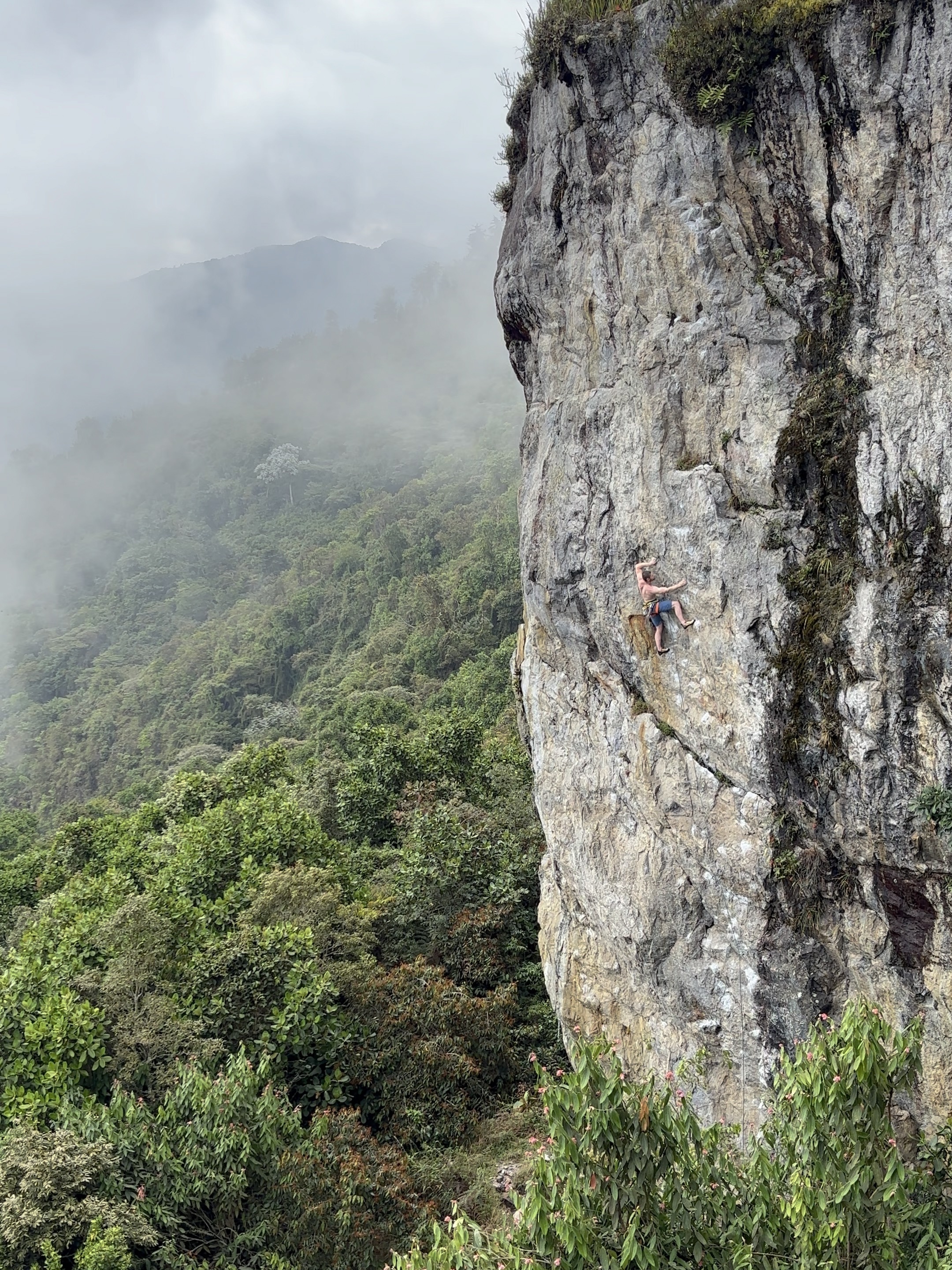 Climber with a high right foot on a granite wall above the forest.